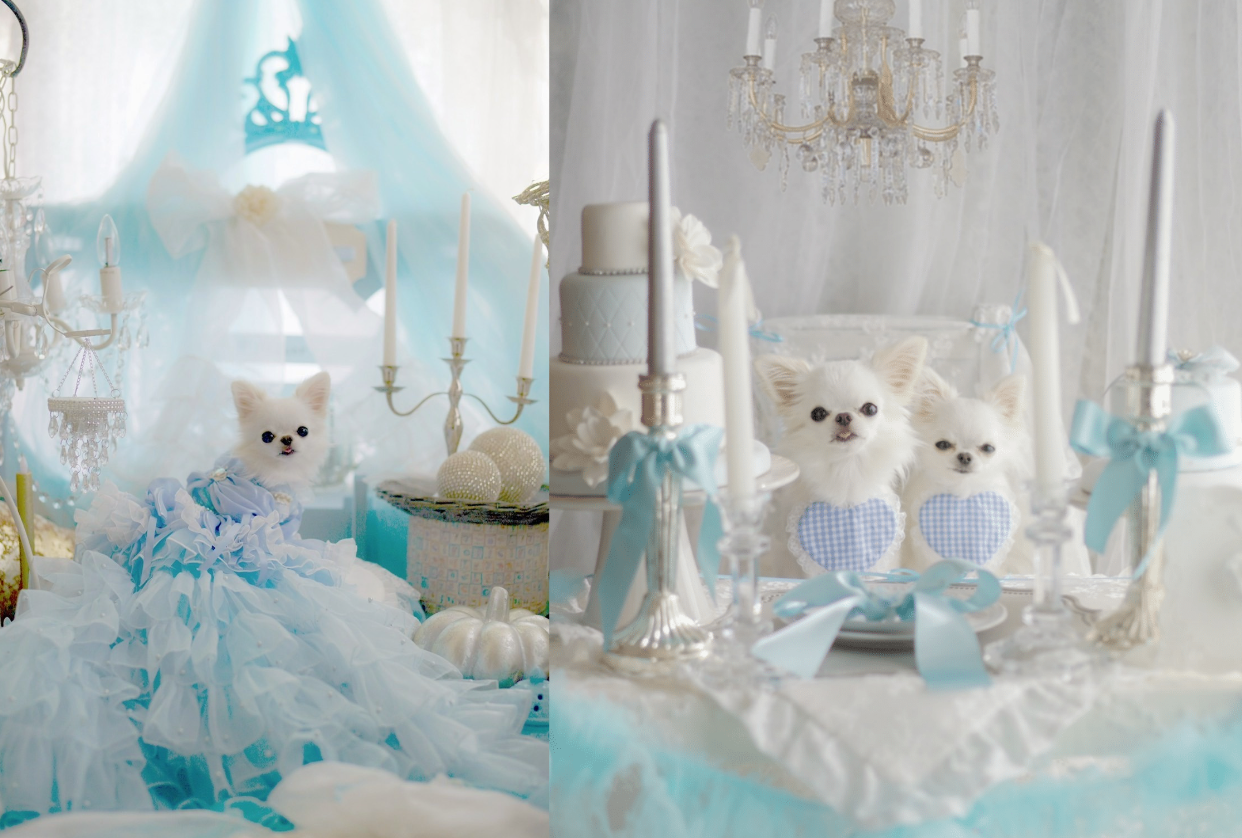 ドレスを身にまとってシンデレラの世界感に浸れる特別イベントフォトブース