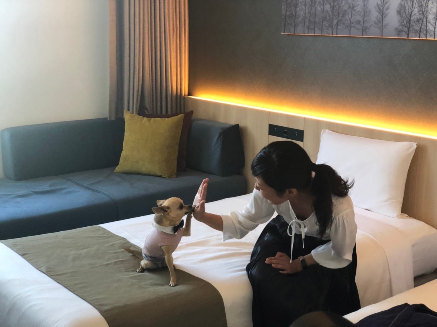 わんちゃんと「当たり前に一緒に」泊まれるホテル