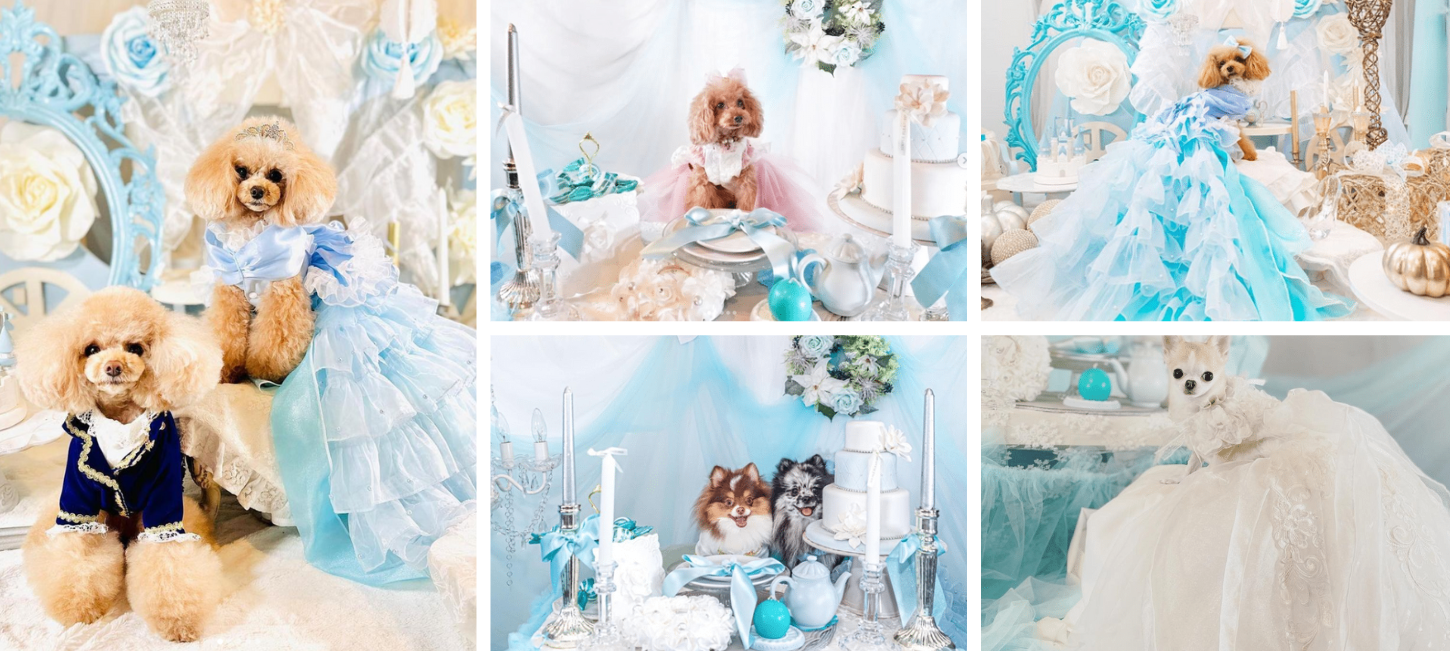 2022年10月～11月に実施された第1弾プリンセス撮影会の様子