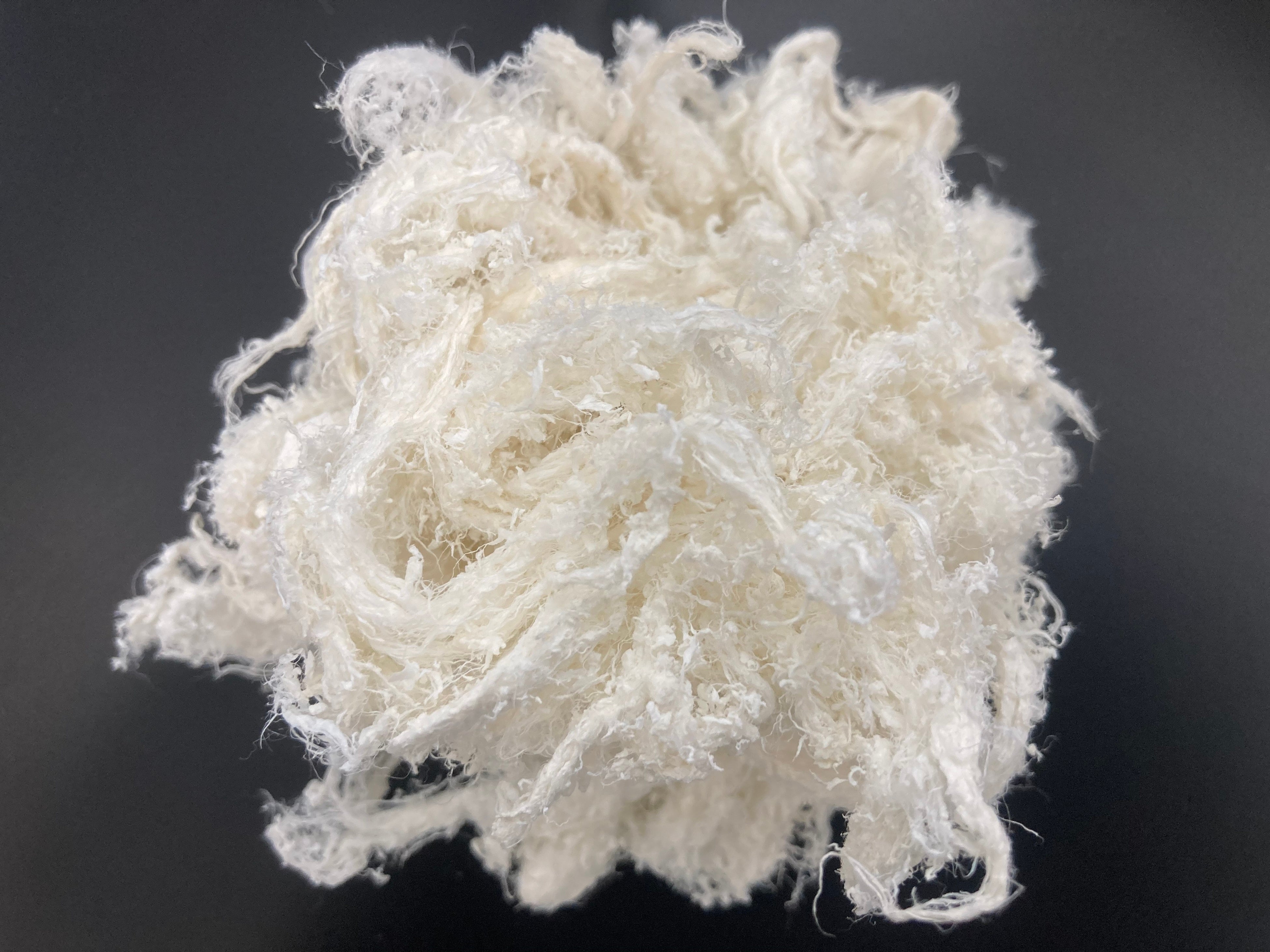 スイゼンジノリから抽出した「サクランⓇ」