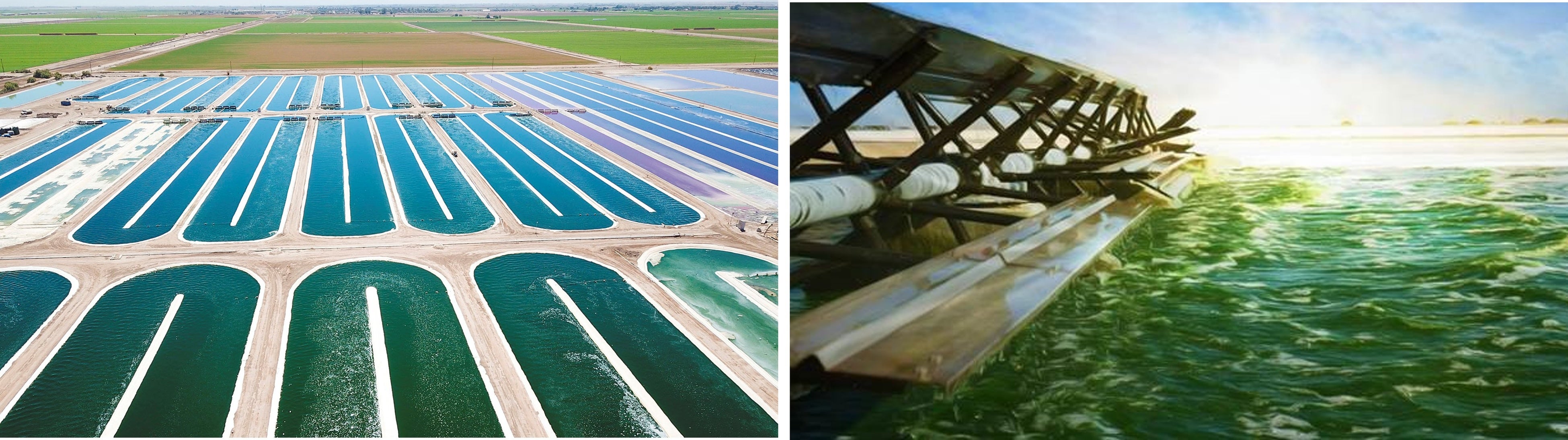 アースライズ社（米国・カリフォルニア州）の屋外藻類培養工場