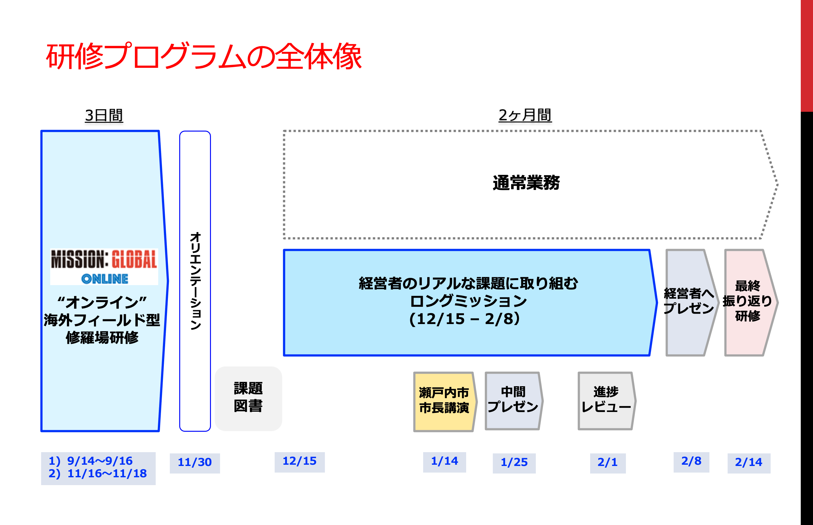 研修プログラムの全体像