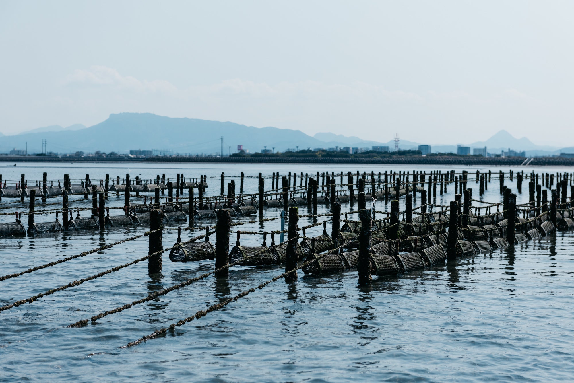 バックの中で揺られて育つひがた美人