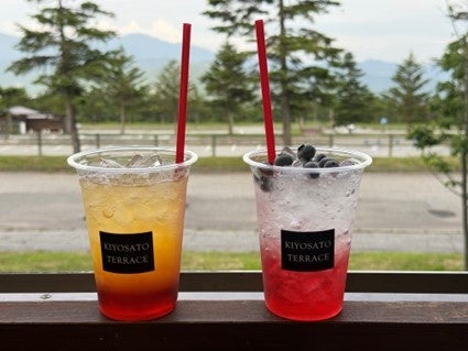 (左)オレンジベースにサンメドウズ清里の地元北杜市産のイチゴソースでオリジナルカラーにしたノンアルコールカクテル「トライデンツ」(右)VC長野トライデンツの本拠地南箕輪村のブルーベリーを使用したノンアルコールモヒート「グロッタモヒート」
