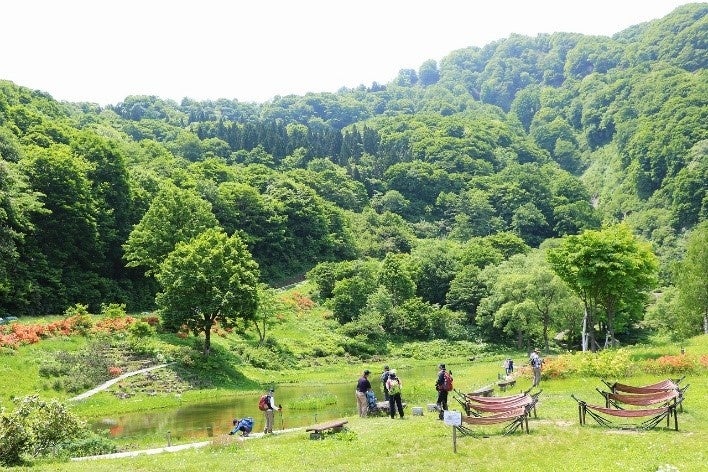季節の山野草が楽しめる　高山植物園アルプの里