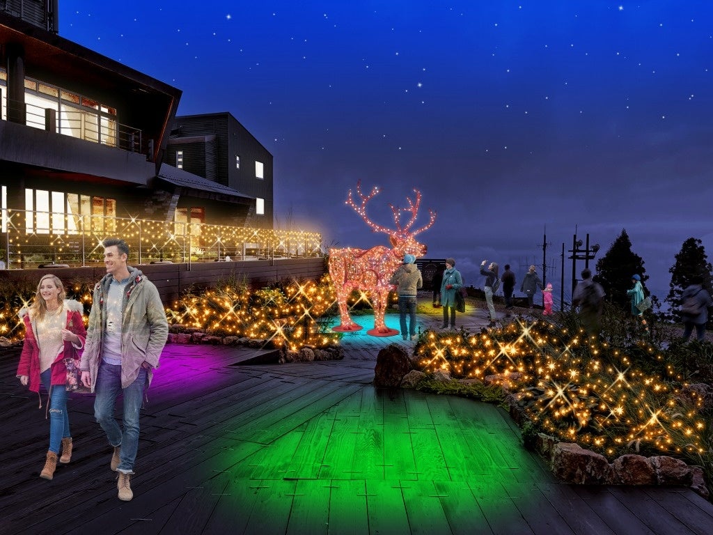 クリスマスガーデン　トナカイイルミネーション(イメージ)