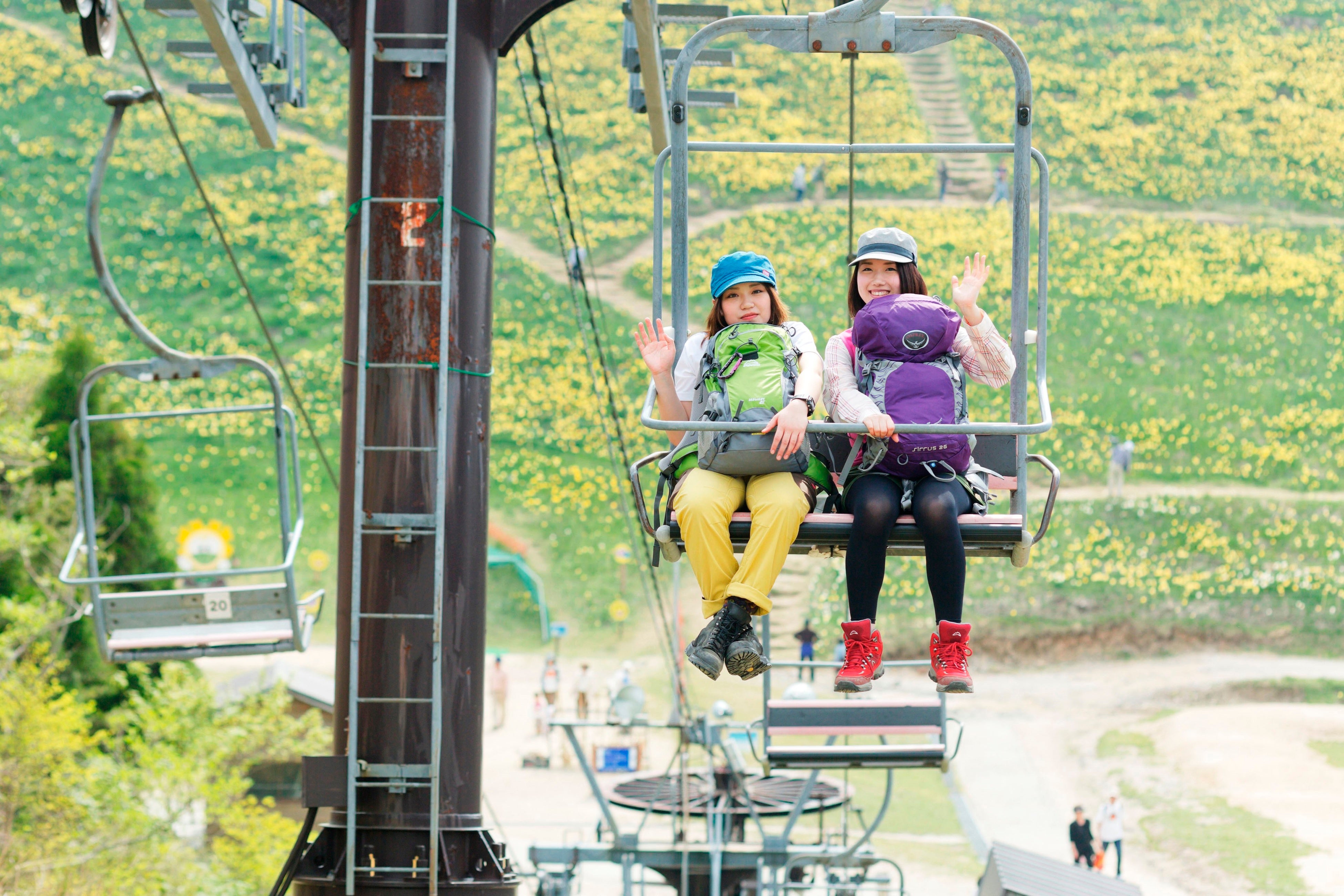 「リフトで空中散歩」、スイセンの丘へ