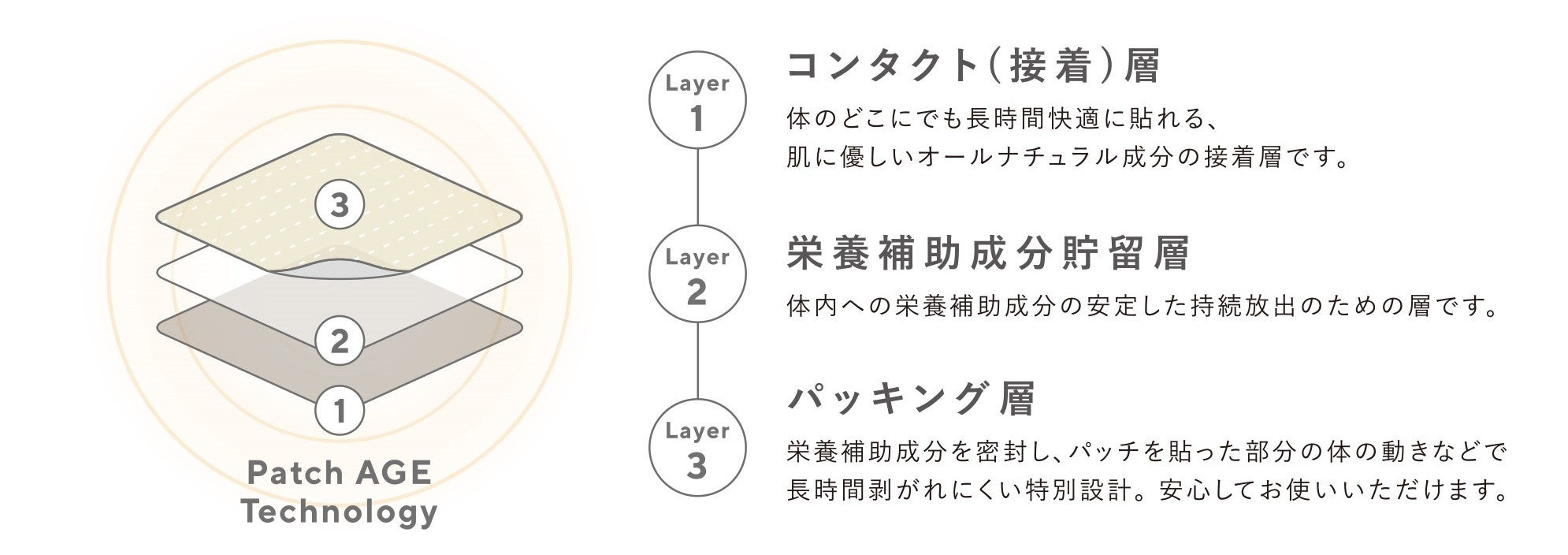 3 層レイヤー構造