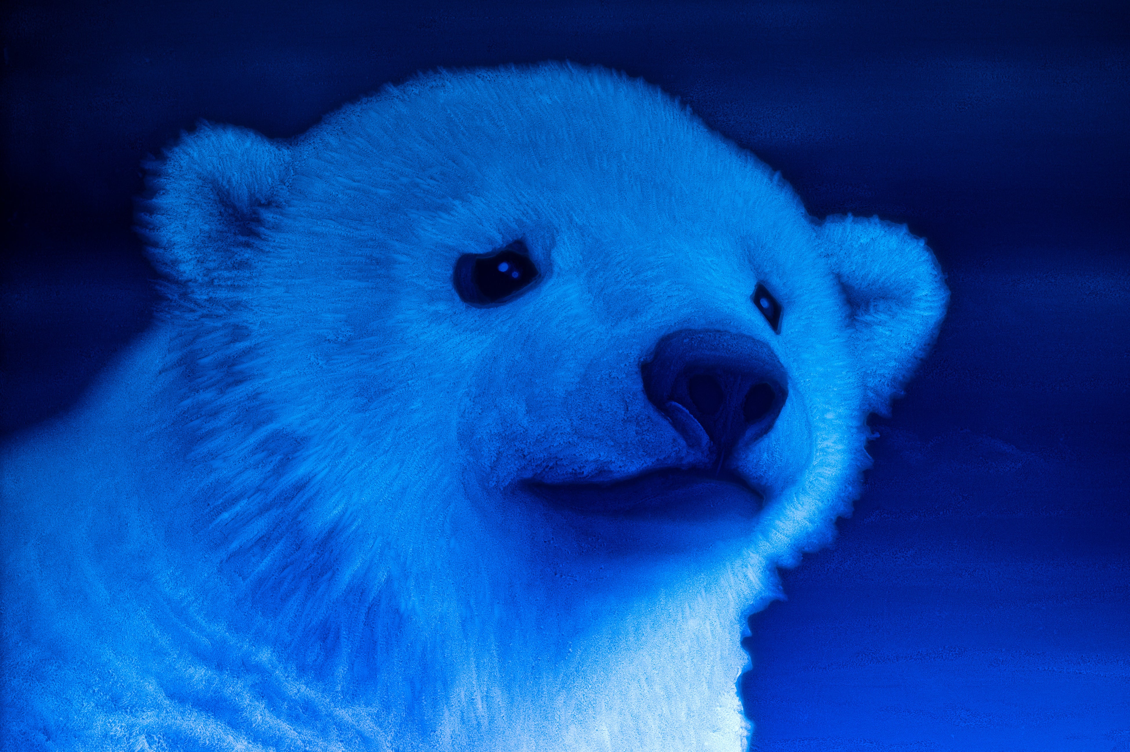 《極北の空》2021年