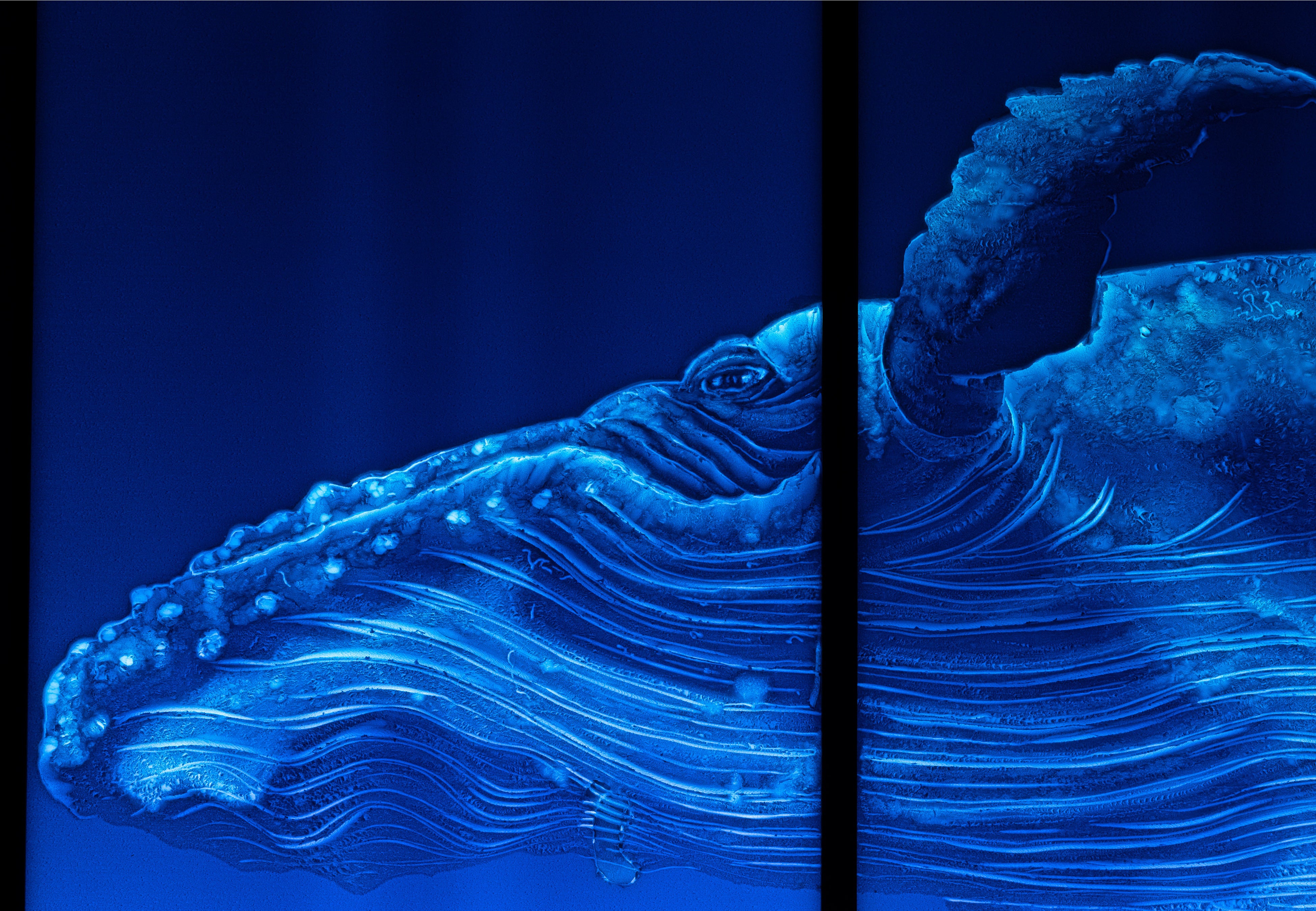 《YOU GOT WATER 01（部分）》2015年