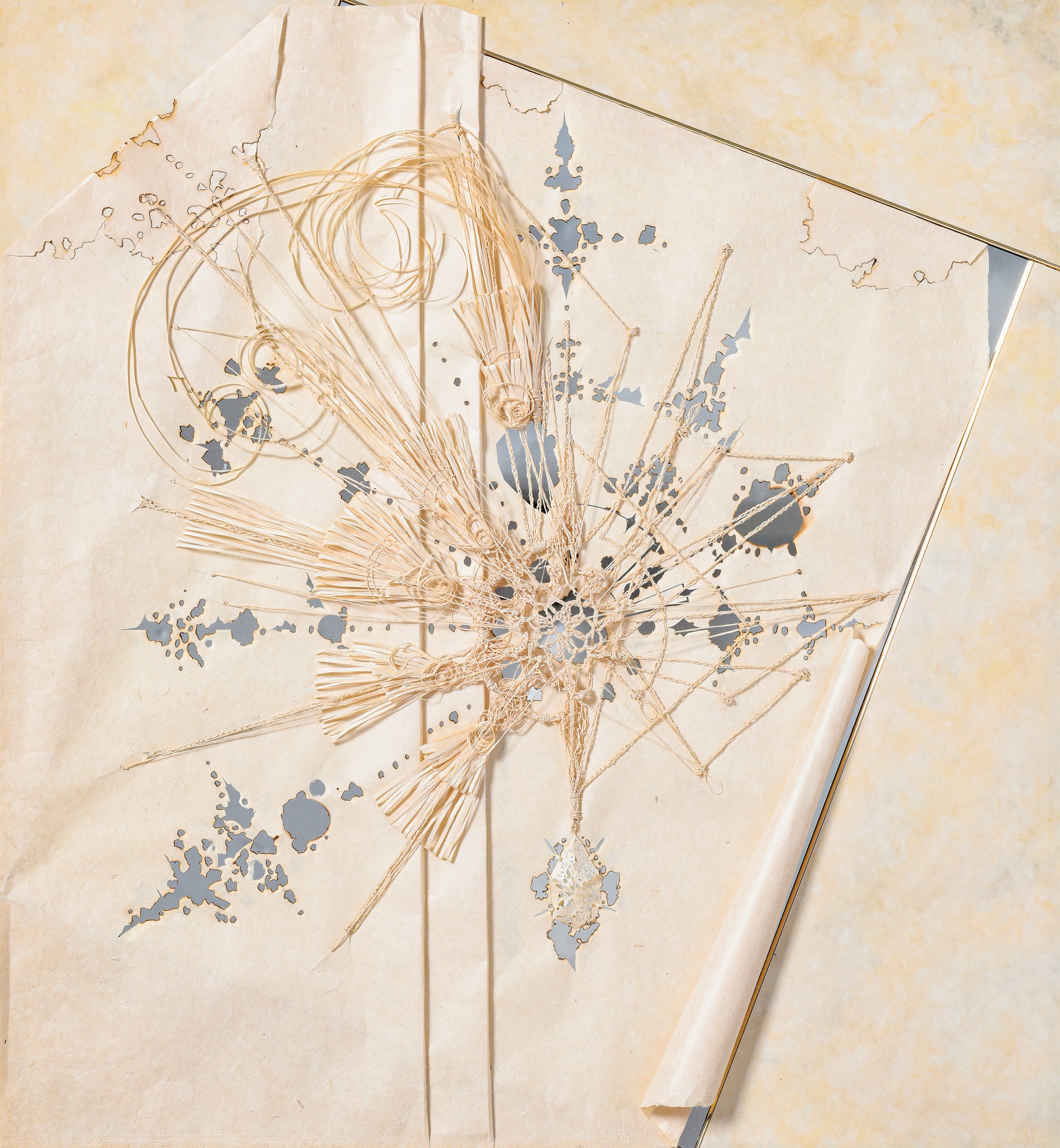 《Robin》2017年／SouMa