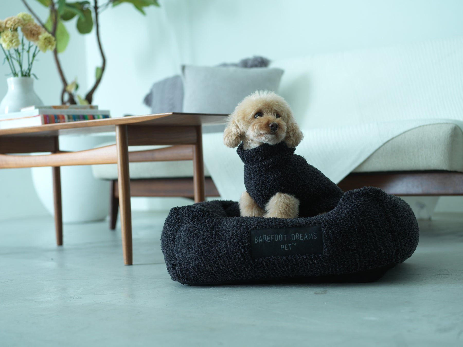 Pet Barefoot Dreamsからpet Bed Ribbed Pet Sweaterが発売 株式会社サザビーリーグのプレスリリース Pet Barefoot Dreamsからpet Bed Ribbed Pet Sweaterが発売 株式会社サザビーリーグのプレスリリース