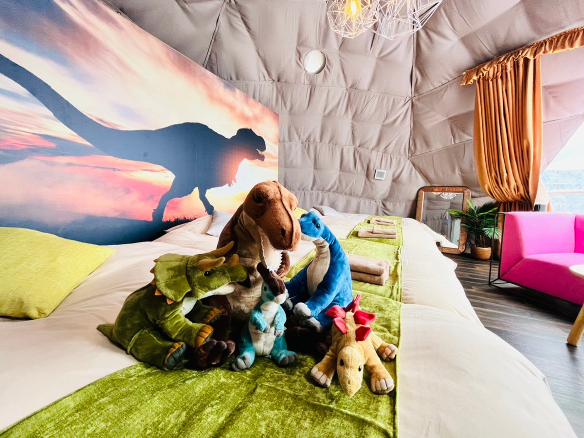 デュラクス ダイナソールーム