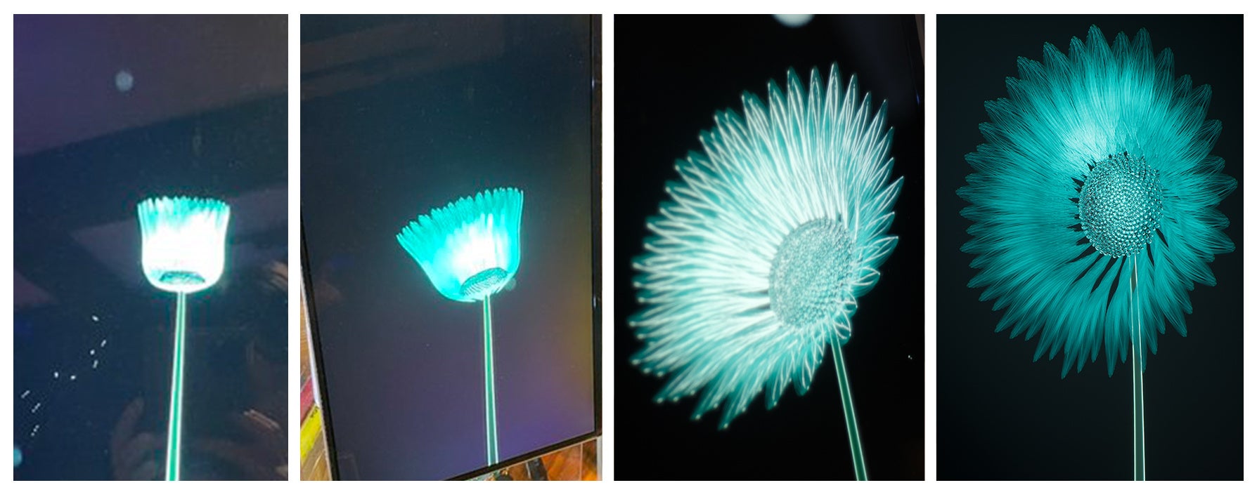 <3~4週目> 発話量の多さに応じてボリューム感のある唯一無二の花へと成長。