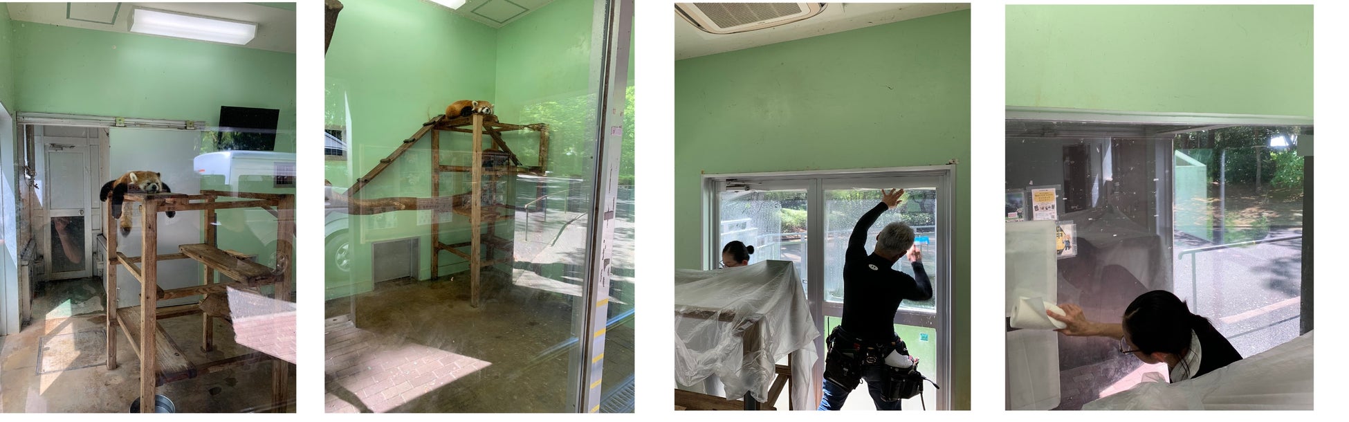 アライグマ舎へのHERA BARRIER(ヘラバリア)導入の様子