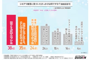 ミスタードーナツ】『デュエル・マスターズ 勝太(かった)のカレーパン ミスタードーナツ】『デュエル・マスターズ 勝太(かった)のカレーパン