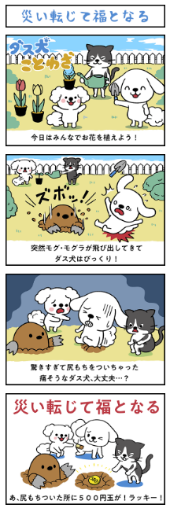 コンテンツイメージ2