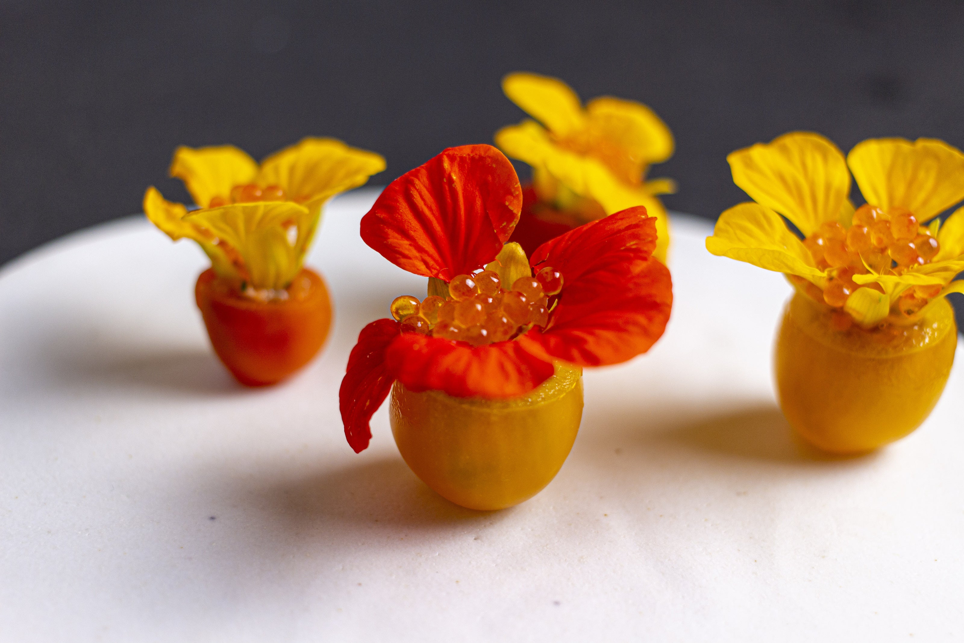 トマト・ナスタチウム・桜鱒