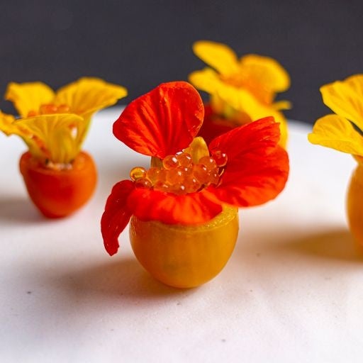 トマト・ナスタチウム・桜鱒