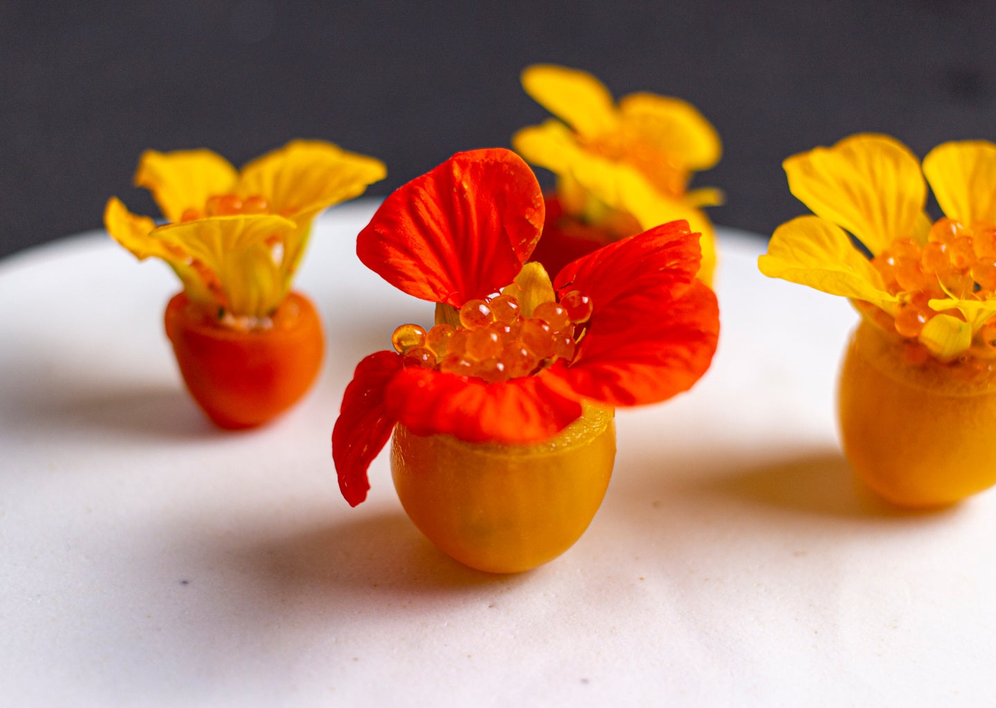 トマト・ナスタチウム・桜鱒