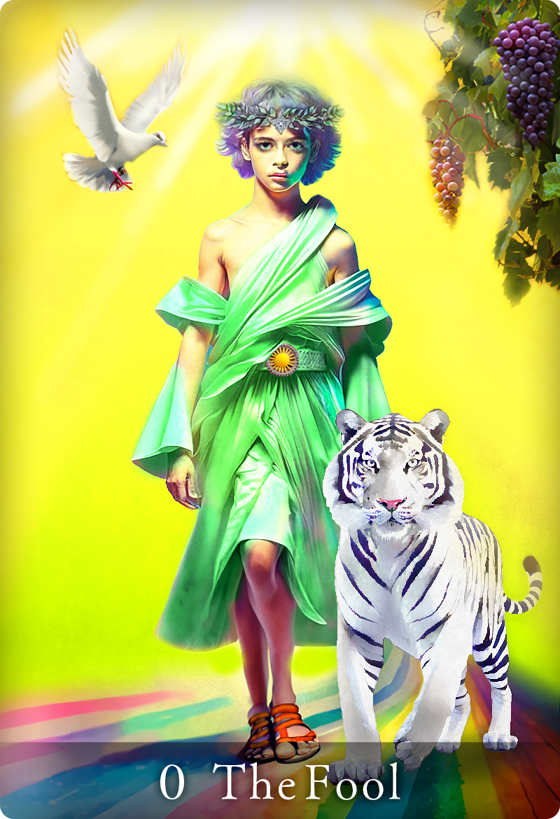 「The Fool 」のデザインイメージ