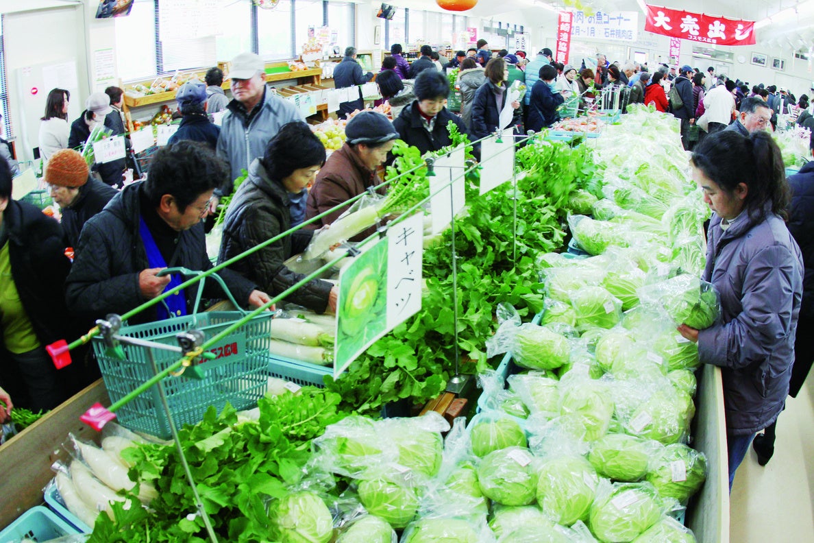 食のまち古賀市コスモス広場