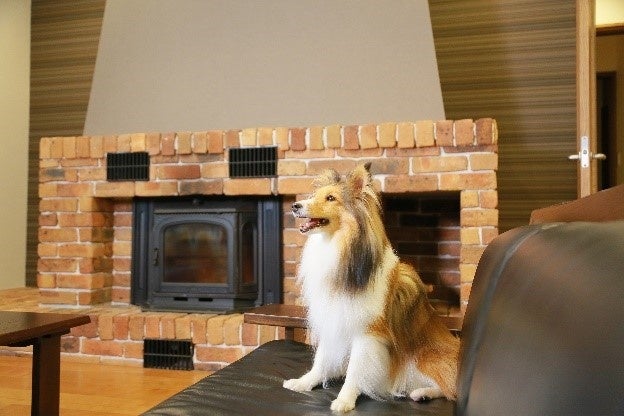 暖炉付きコテージでの～んびり くつろぎ中♪