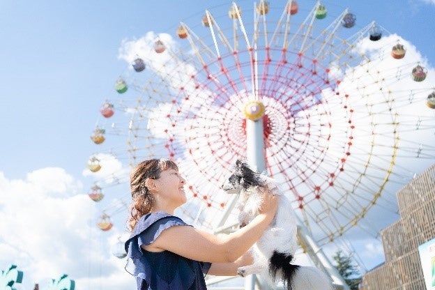青空にカラフルな観覧車が映える！
