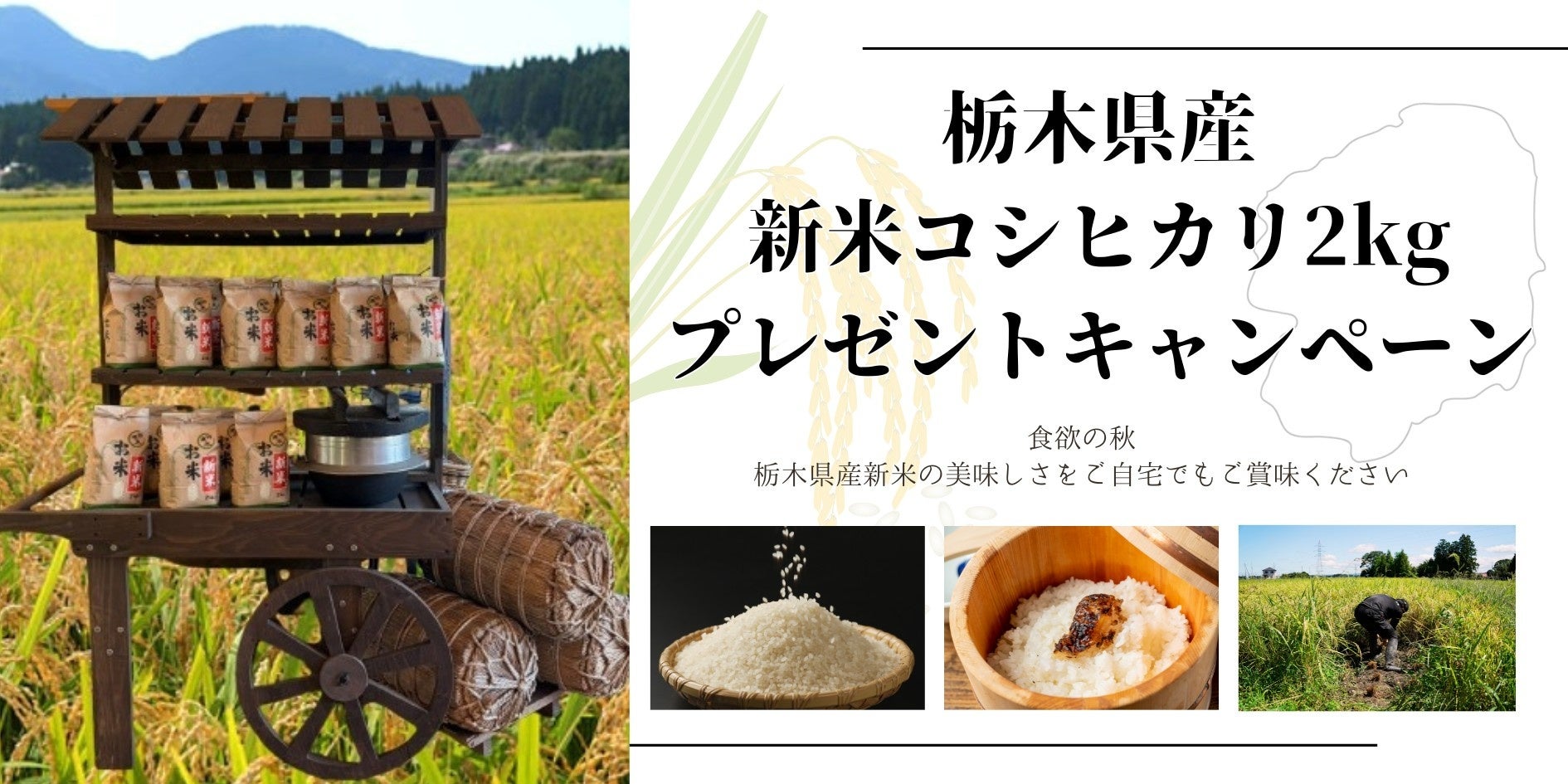 那須高原TOWAピュアコテージ【栃木県産新米】1,000組限定プレゼントキャンペーン