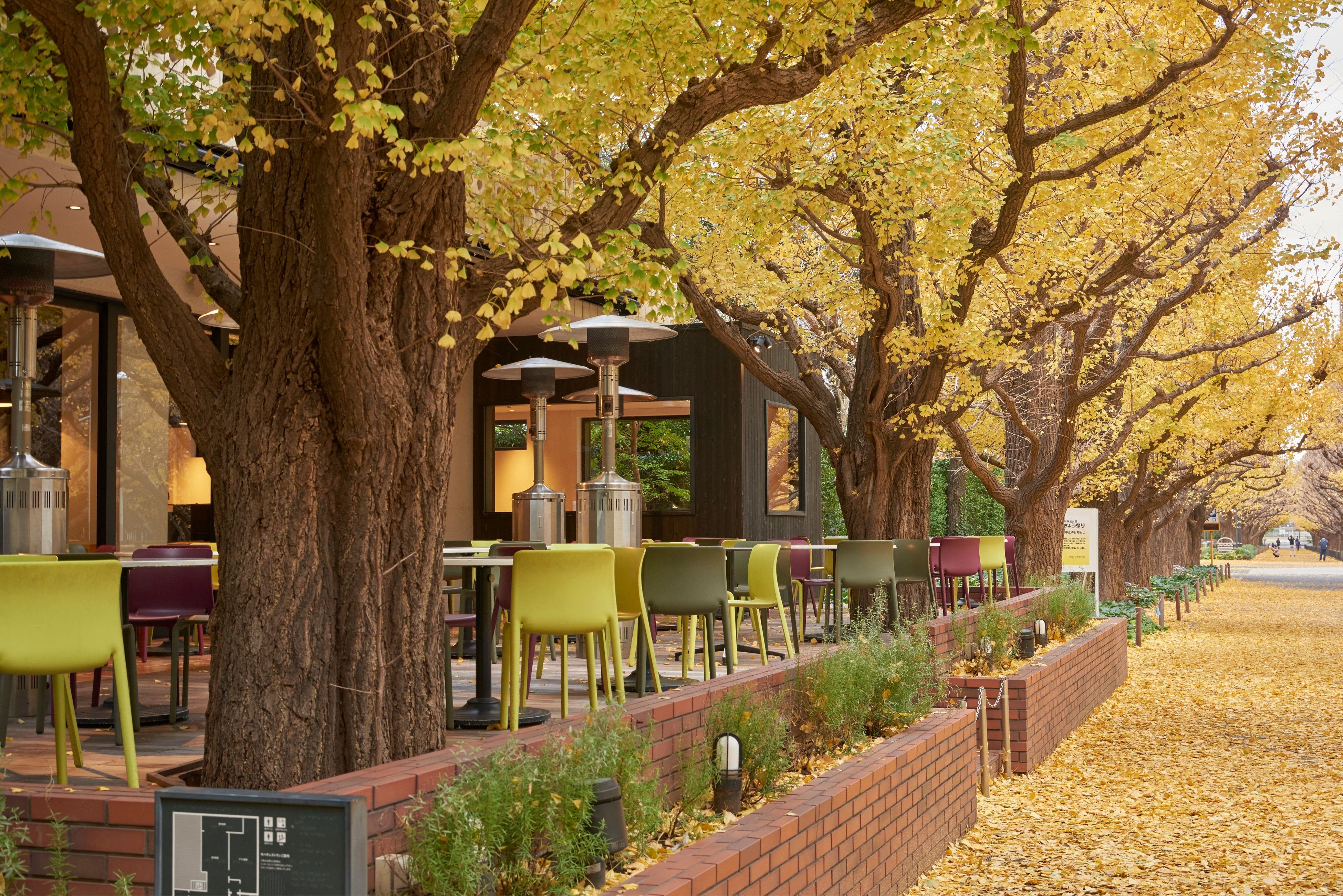 キハチ 青山本店（黄葉シーズン）