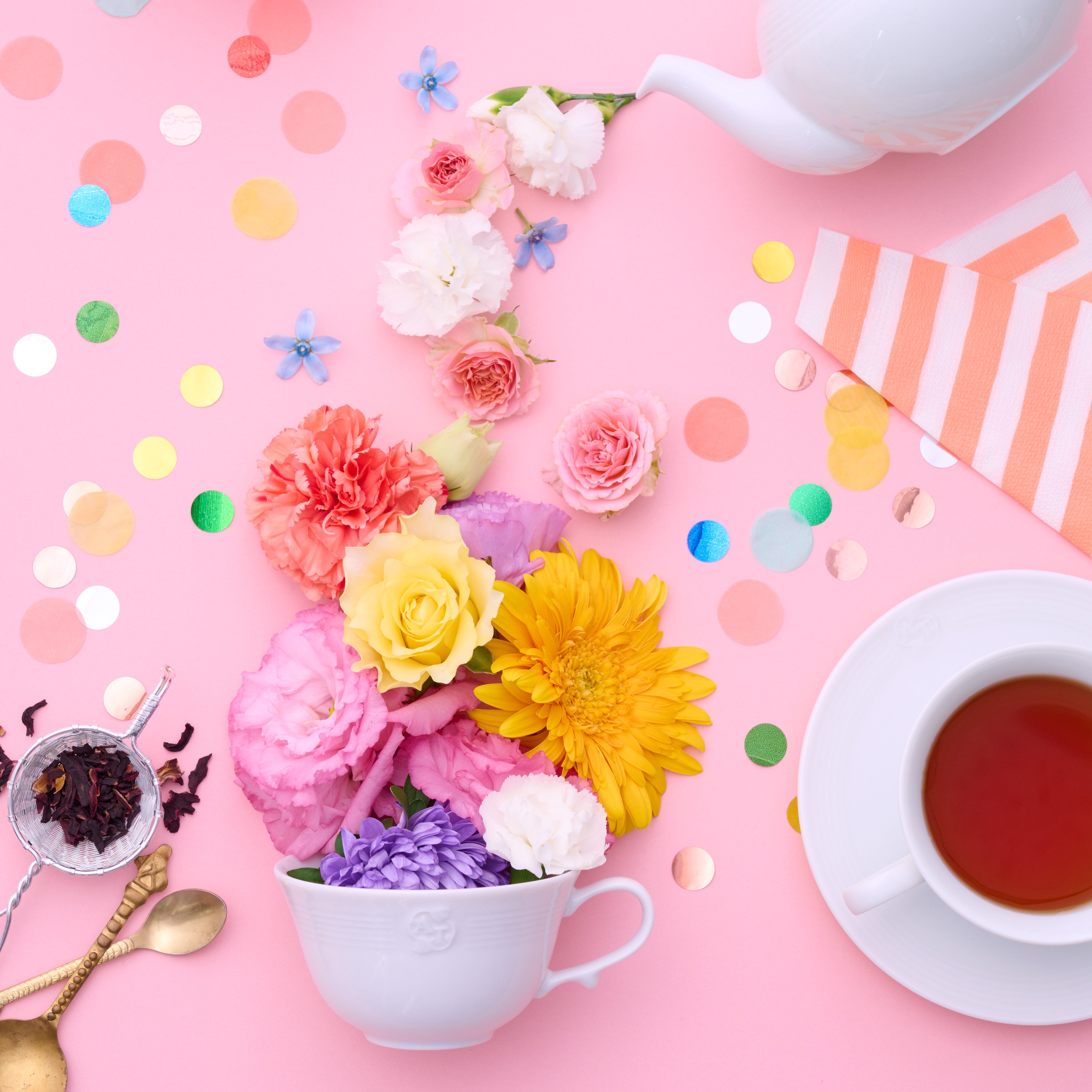 ティーフェスイメージ3