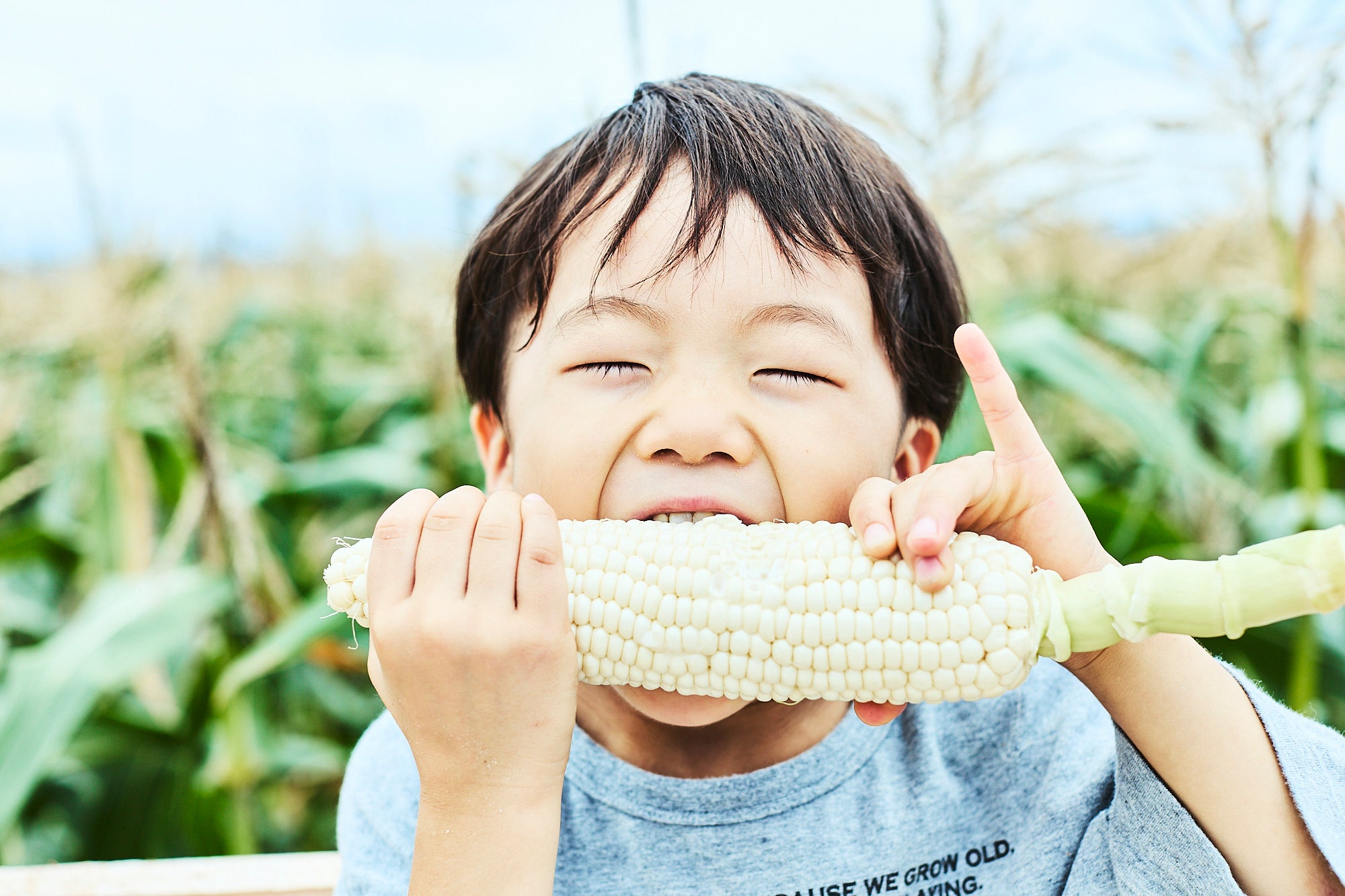 “生”のままで食べられ、子供にも大人気の「京都舞コーン」。