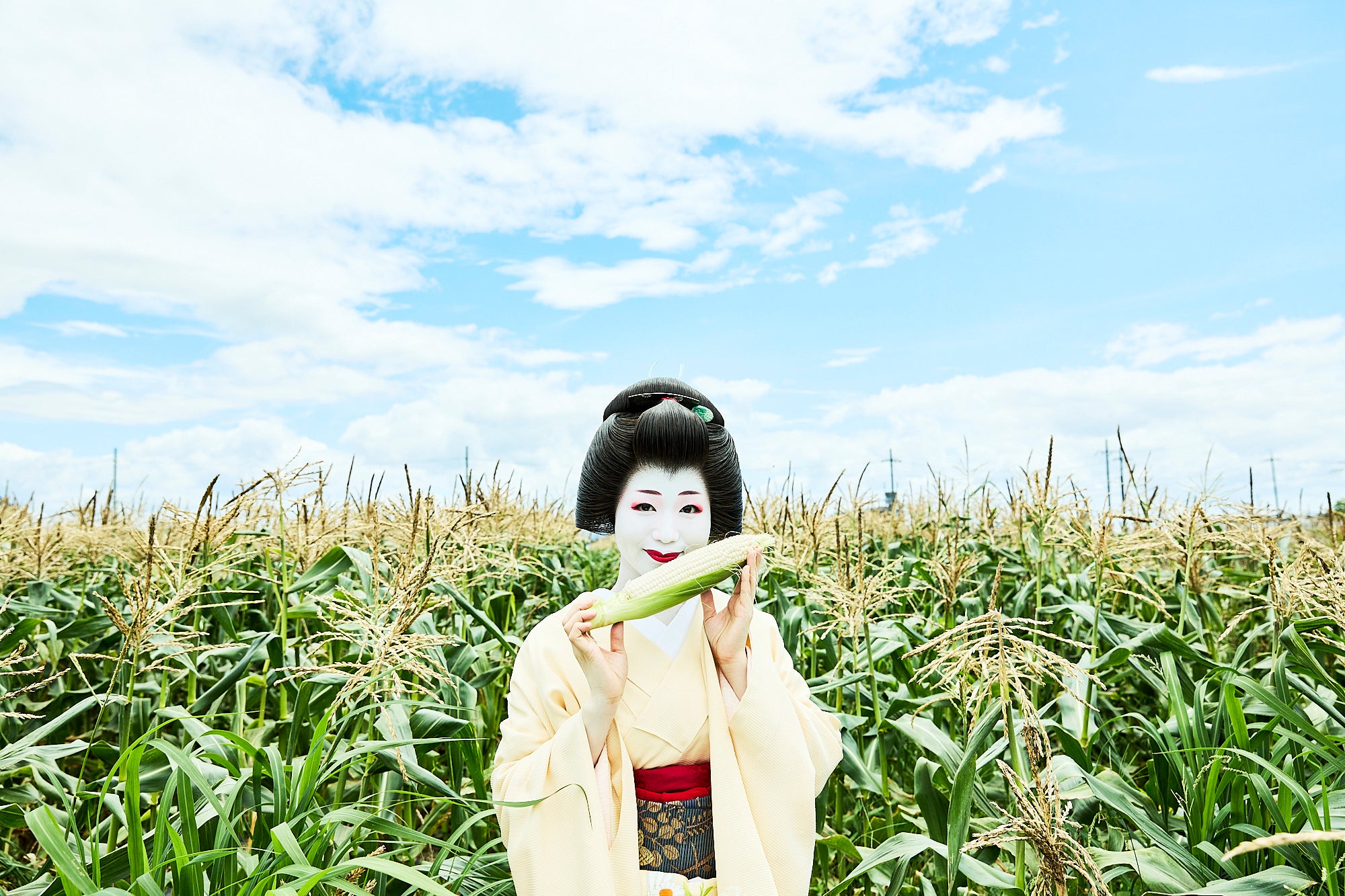 舞妓のように白いつもろこし、「京都舞コーン」。