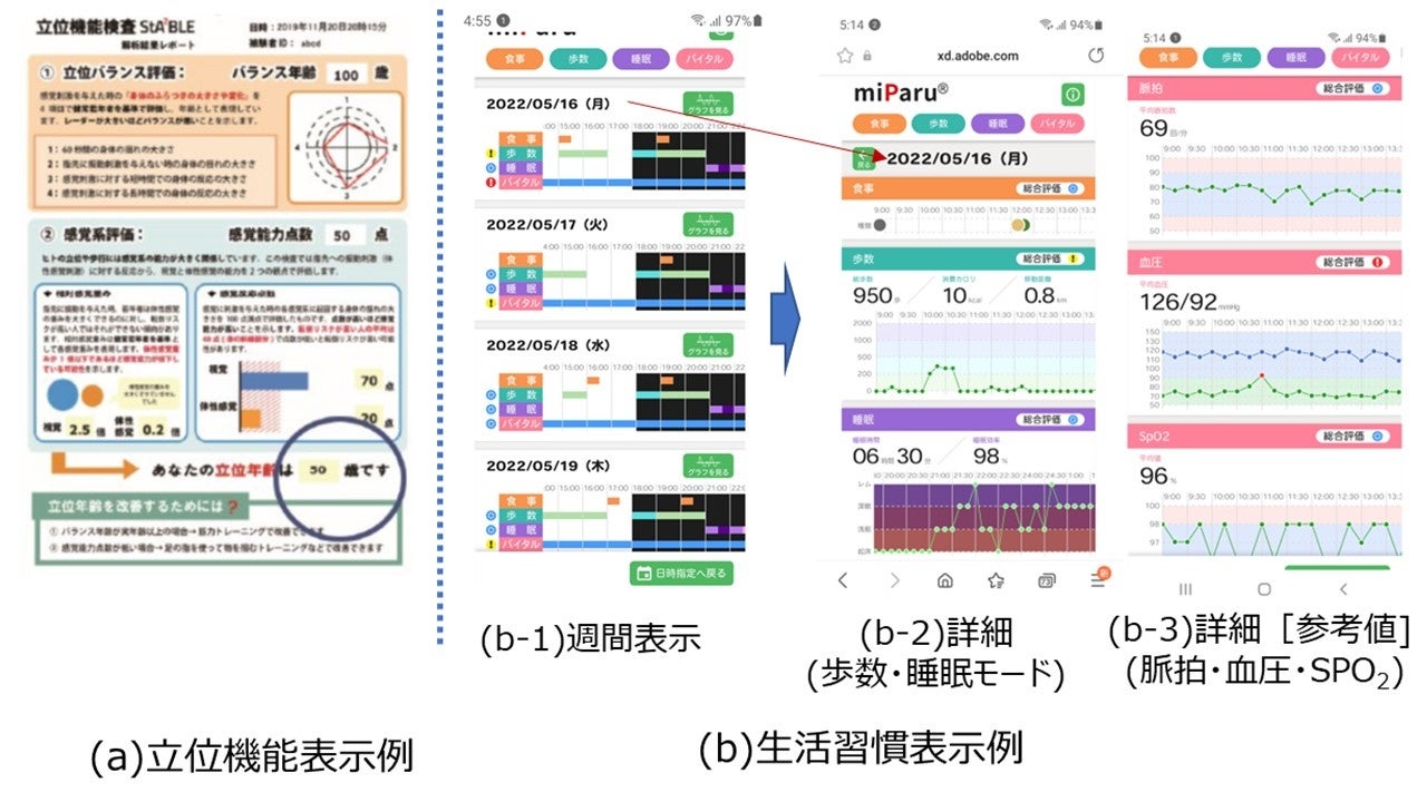 図4 仮想センサ2.0　フレイル可視化関連のWEB-API表示例(イメージ)