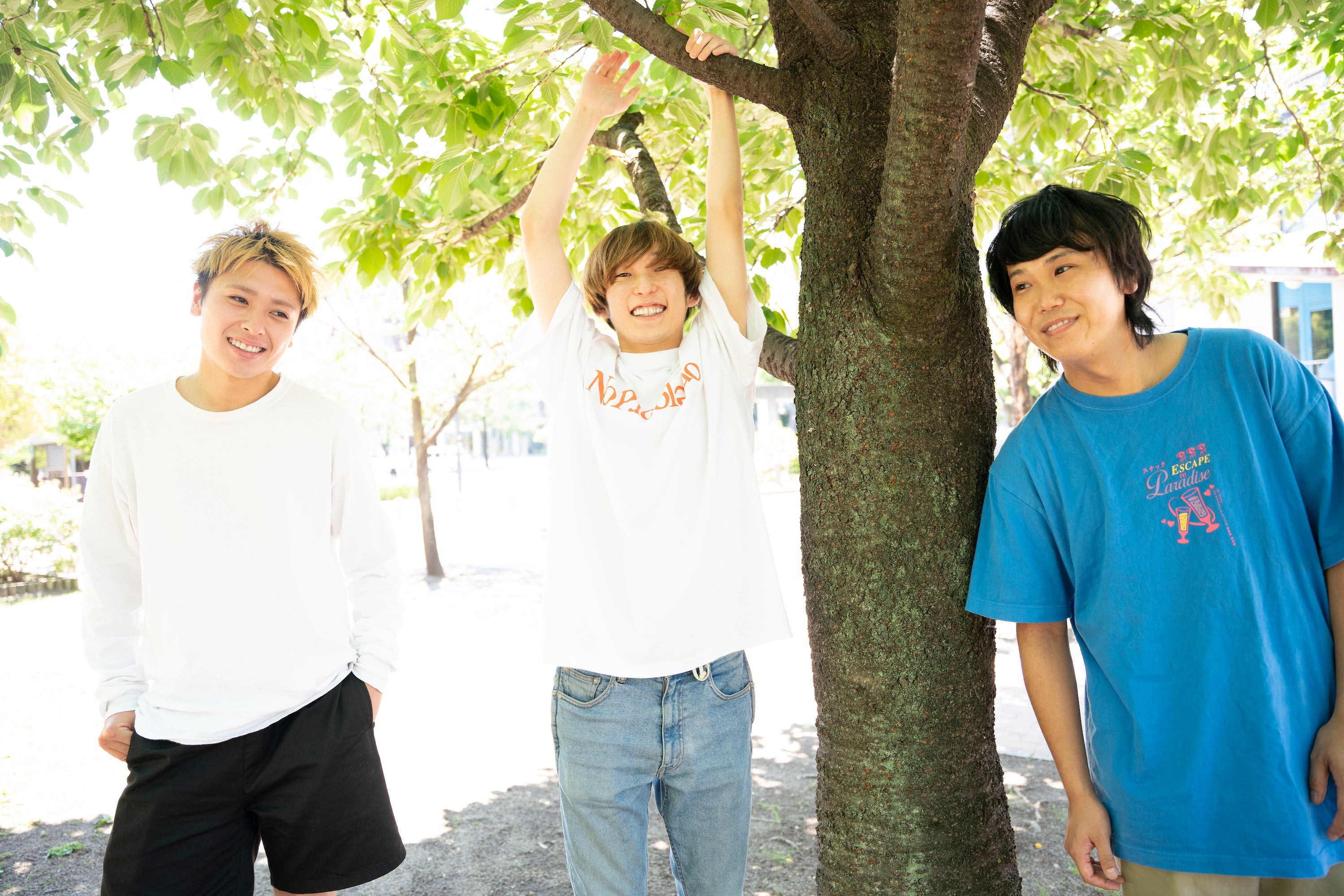 FOMARE プロフィール