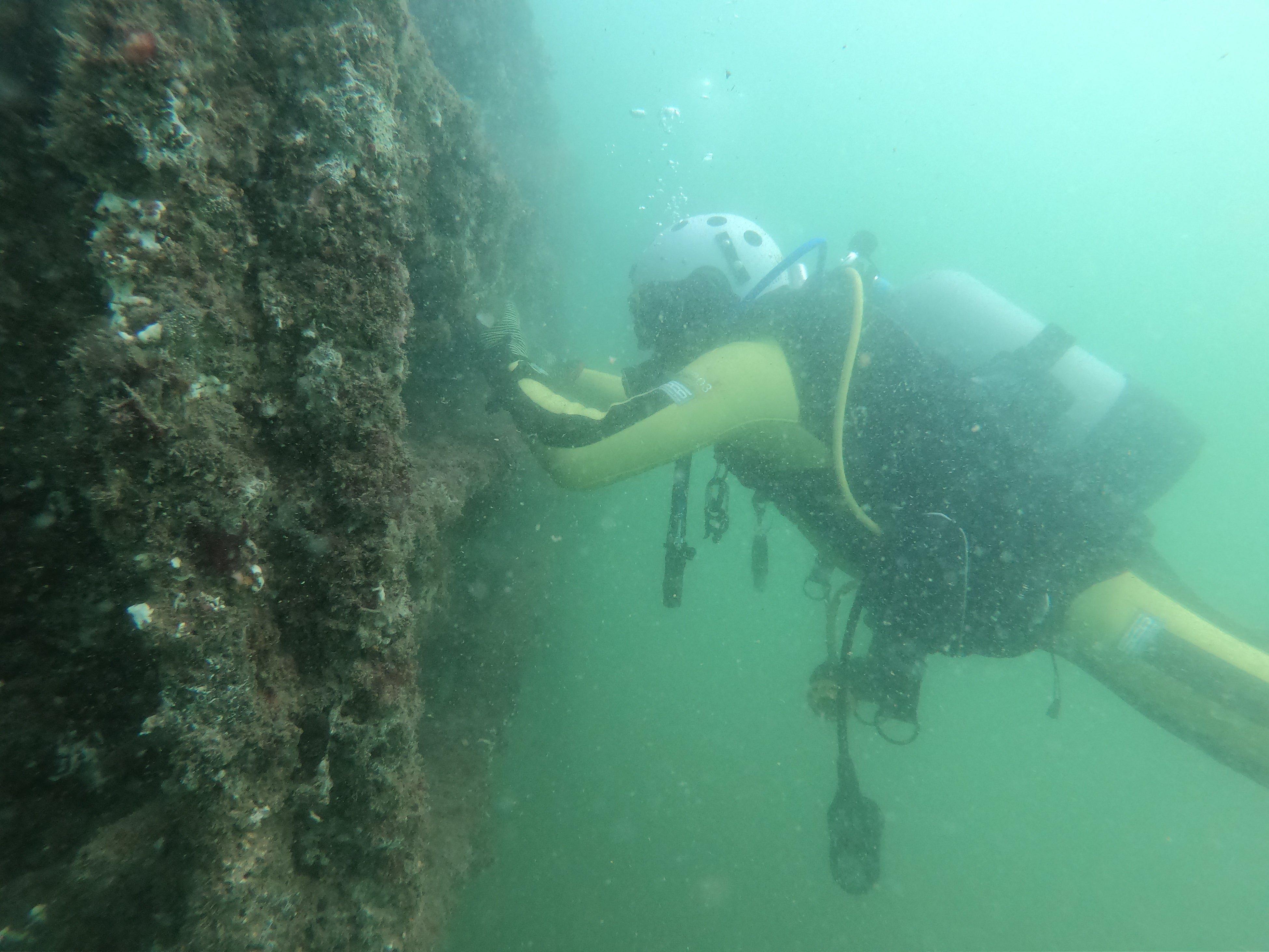 海洋調査・清掃ボランティア