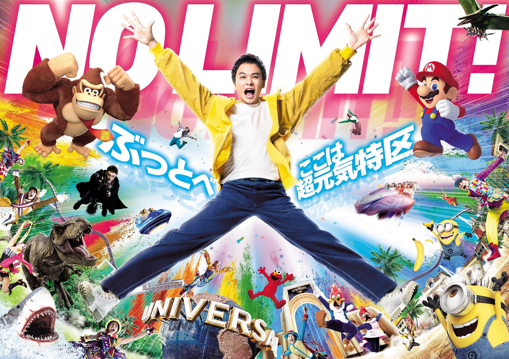 活動歴および当時の関連ビジュアル記録