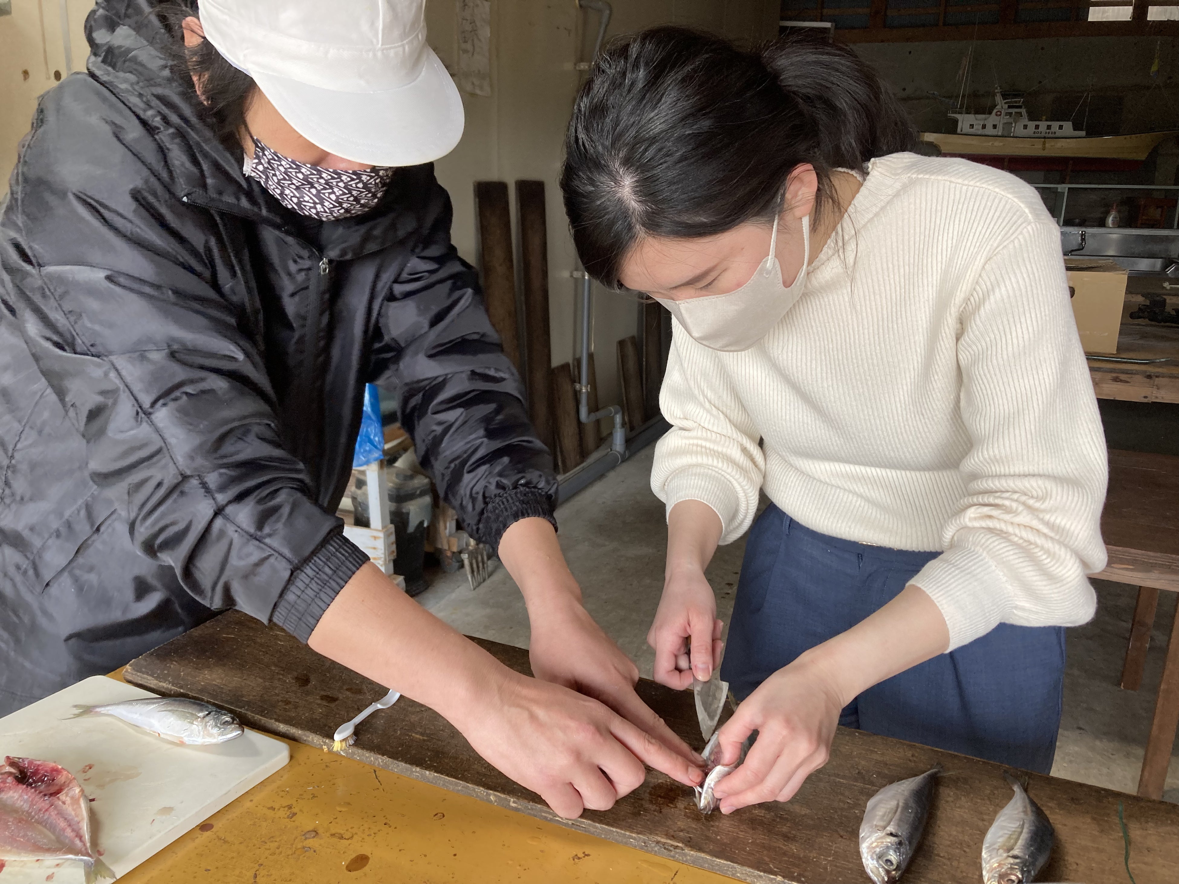 職人から教わる「干物開き」体験