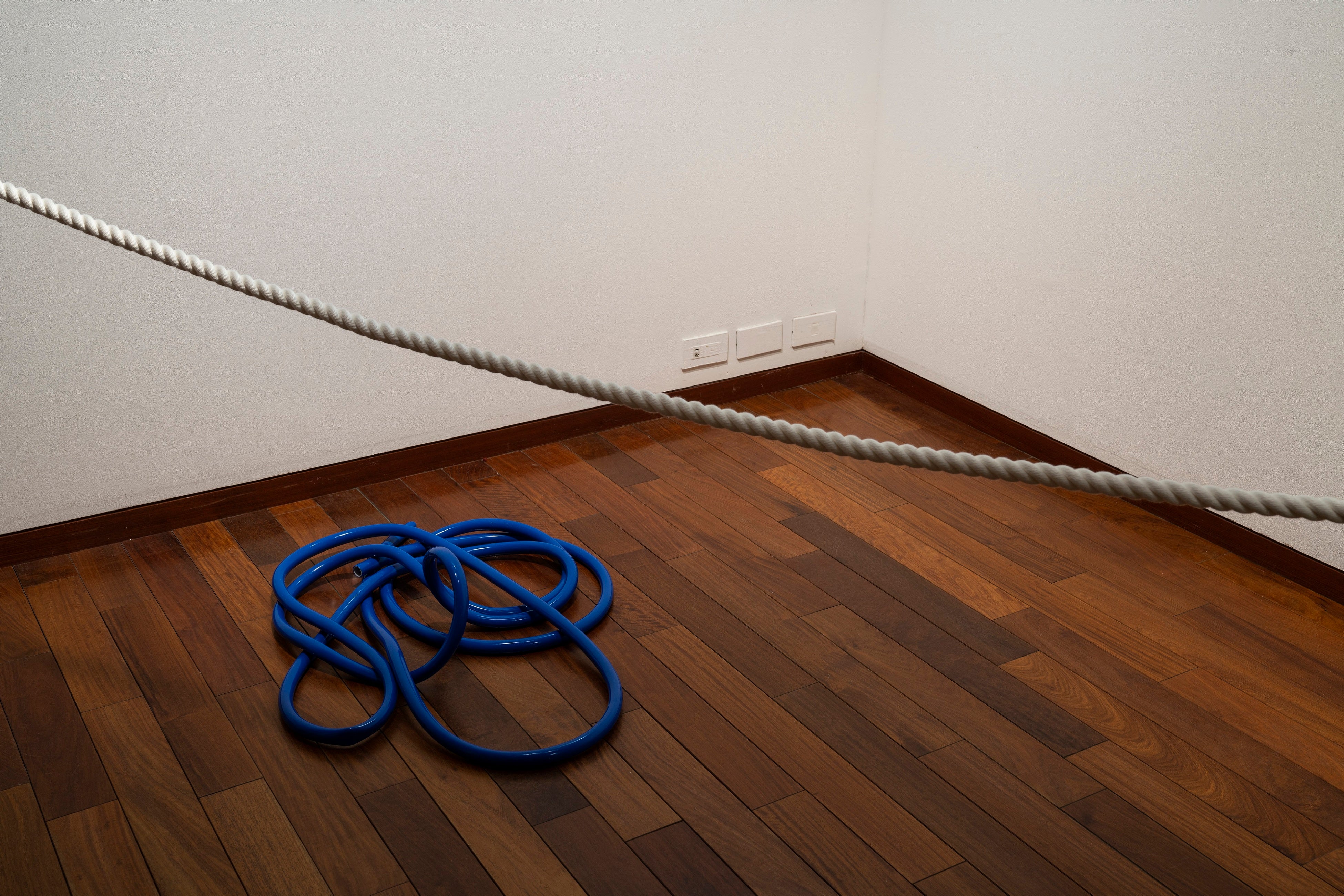 中村竜治　《ホース》　2022　中村竜治、杉戸洋　《ロープ》　2022　2022年展示風景より　撮影：加藤健