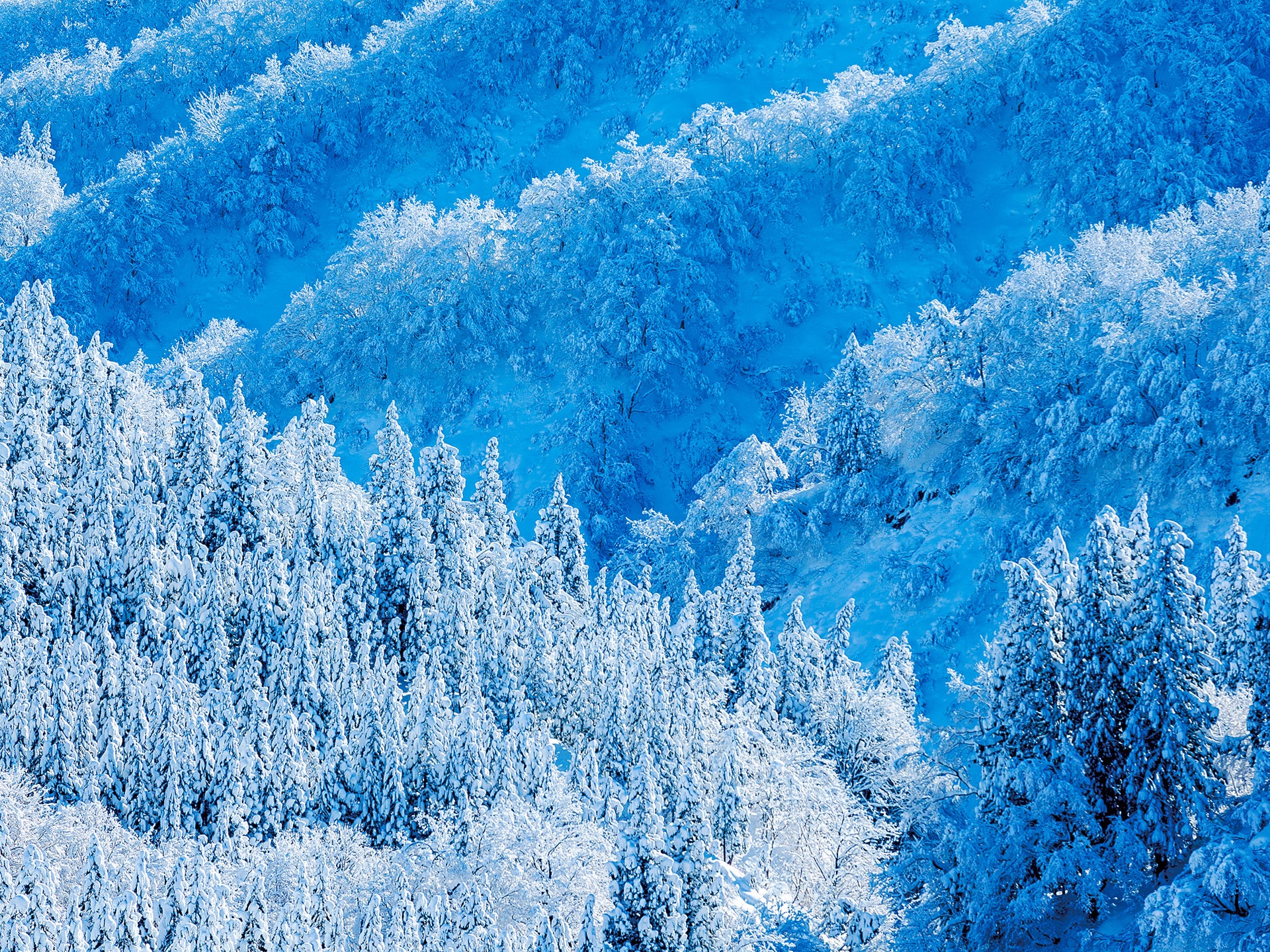 雪深いまち　新潟魚沼十日町　この土壌が美味しいものを育てます