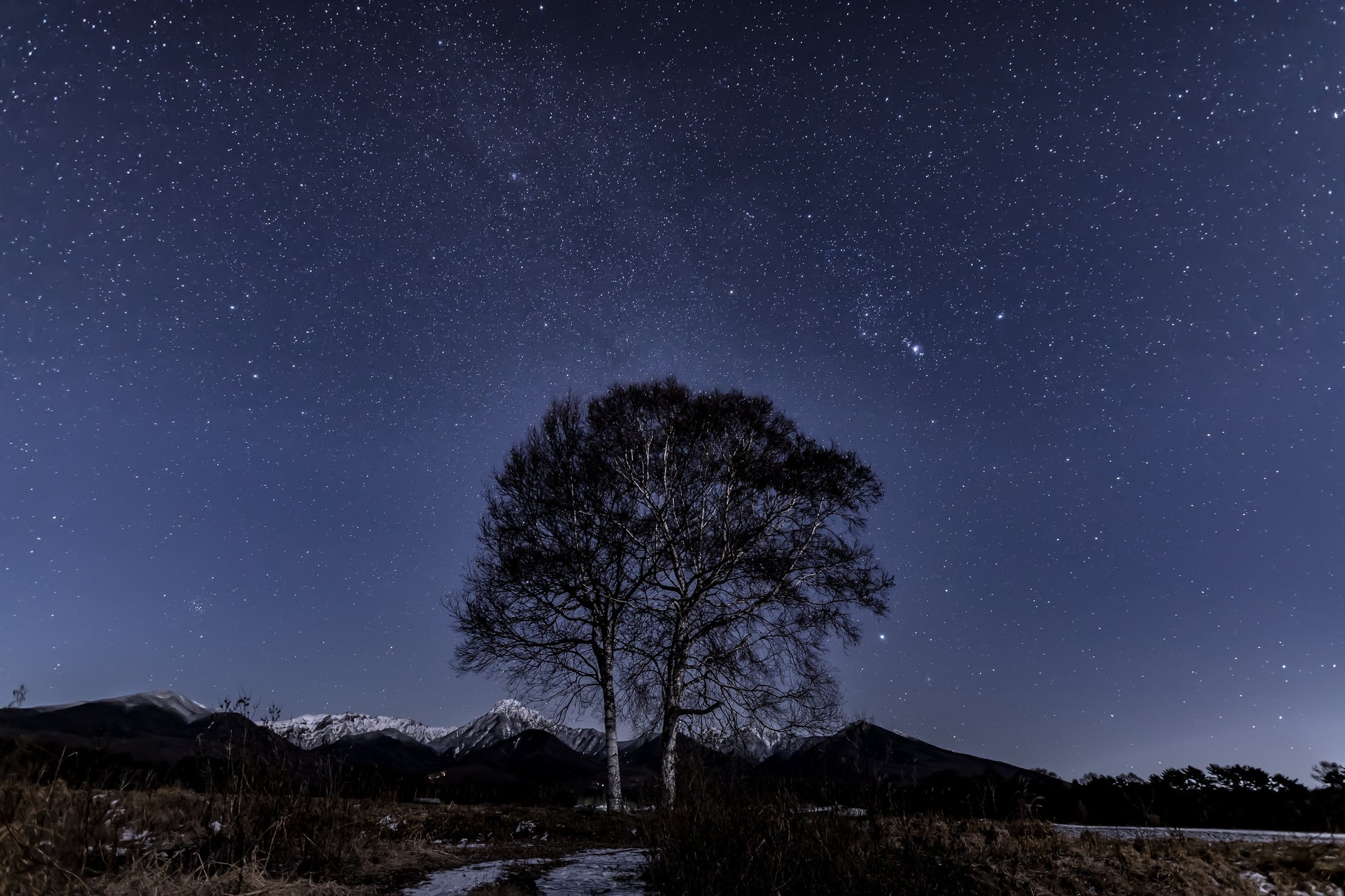 星降る里 原村