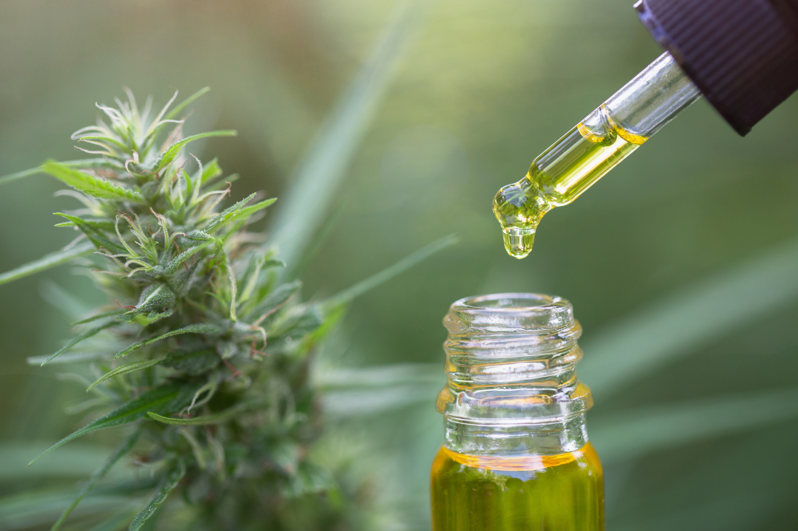 ゆう　CBDアイソレート５ｇ、CBG５ｇ、CBN５ｇ ゆう CBDアイソレート5g、CBG5g、CBN5g CBNアイソレート