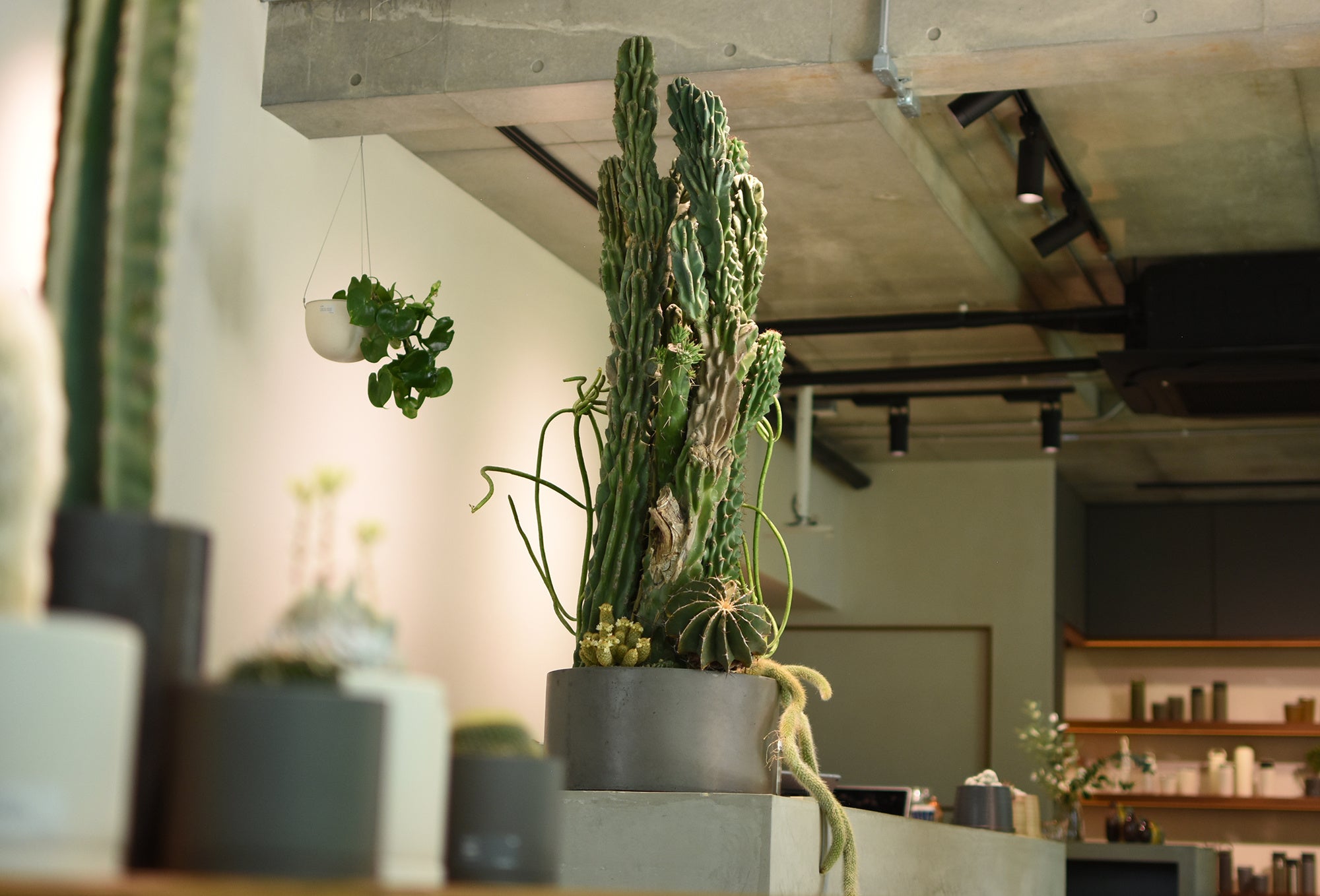 2021 年KINTO STORE Tokyo 開催のMOLLIS EXHIBIT の様子