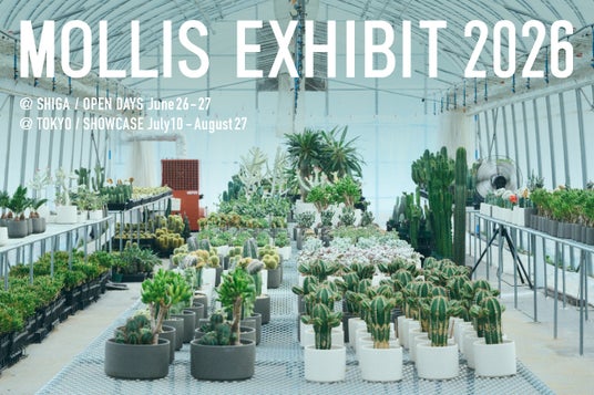 植物ブランドMOLLISが滋賀・東京の2箇所でMOLLIS EXHIBIT 2026を開催 植物ブランドMOLLISが滋賀・東京の2箇所でMOLLIS EXHIBIT 2026を開催