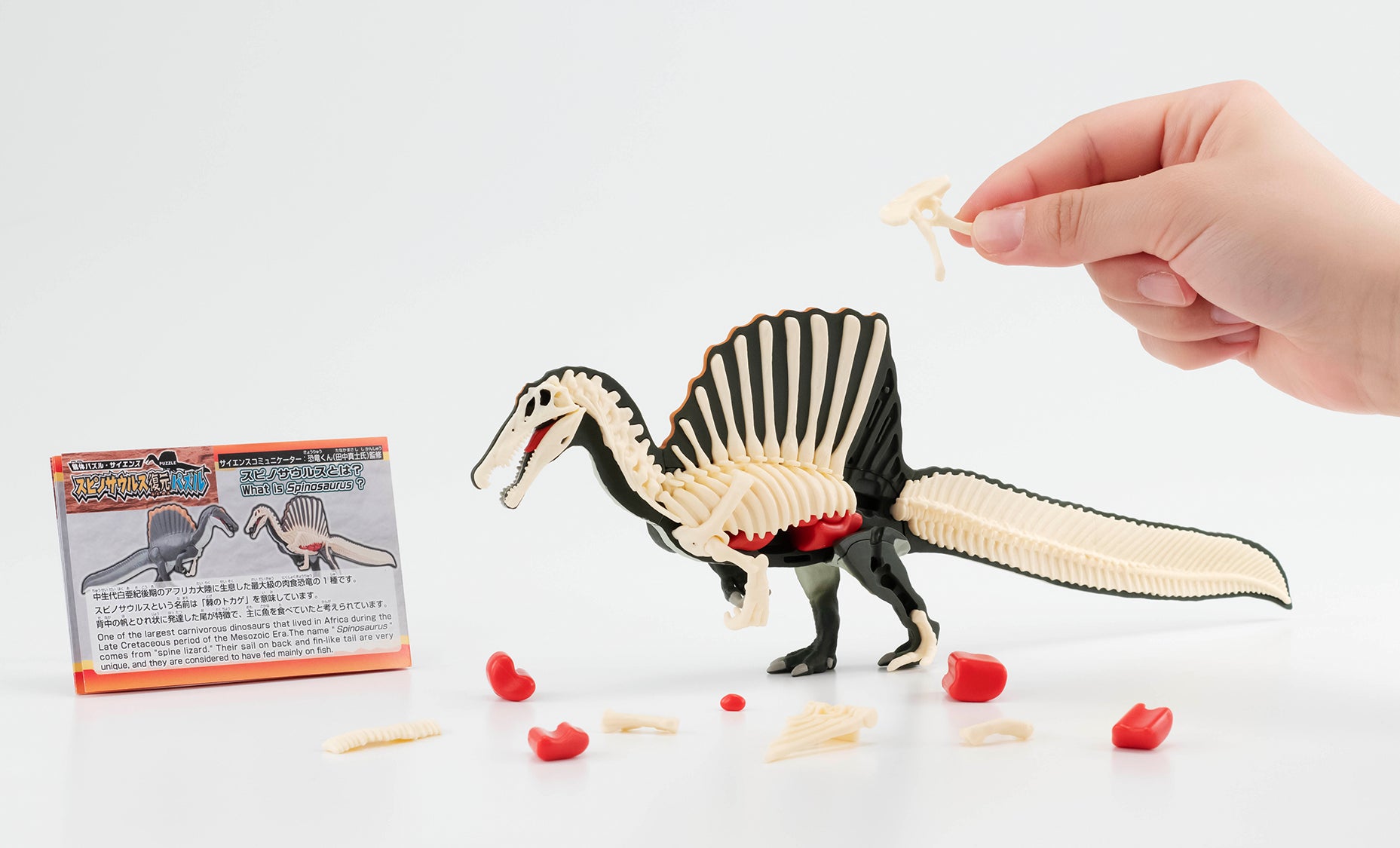 恐竜キング 英語ver 3種セット 完品 恐竜キング 英語ver 3種セット 完品