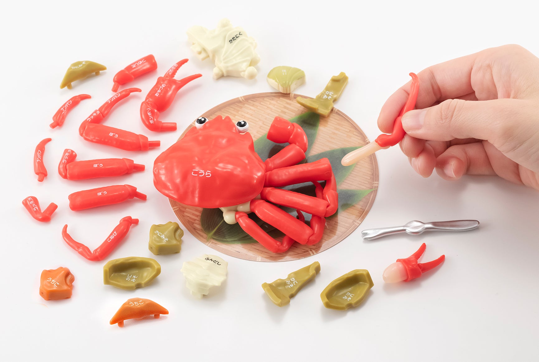 新商品発売!本ズワイガニ解体パズル-内子付きー 新商品発売!本ズワイガニ解体パズル-内子付きー