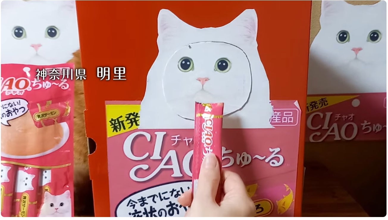 いなばペットフード 「CIAOちゅ~る3分CM」第5弾グローバル篇が いなばペットフード 「CIAOちゅ~る3分CM」第5弾グローバル篇が