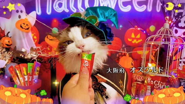 いなばペットフード 「ちゅ~る」ハロウィンTVCM動画を公開!猫ちゃん いなばペットフード 「ちゅ~る」ハロウィンTVCM動画を公開!猫ちゃん