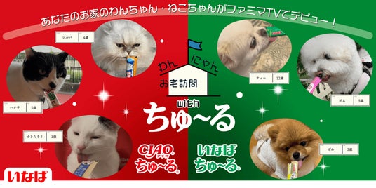 いなばペットフード あなたのわんちゃん・ねこちゃんがファミマTVの人気番組に登場!「わんにゃんお宅訪問 with ちゅ~る」第2弾の動画を大募集! いなばペットフード あなたのわんちゃん・ねこちゃんがファミマTVの人気番組に登場!「わんにゃんお宅訪問 with ちゅ~る」第2弾の動画を大募集!