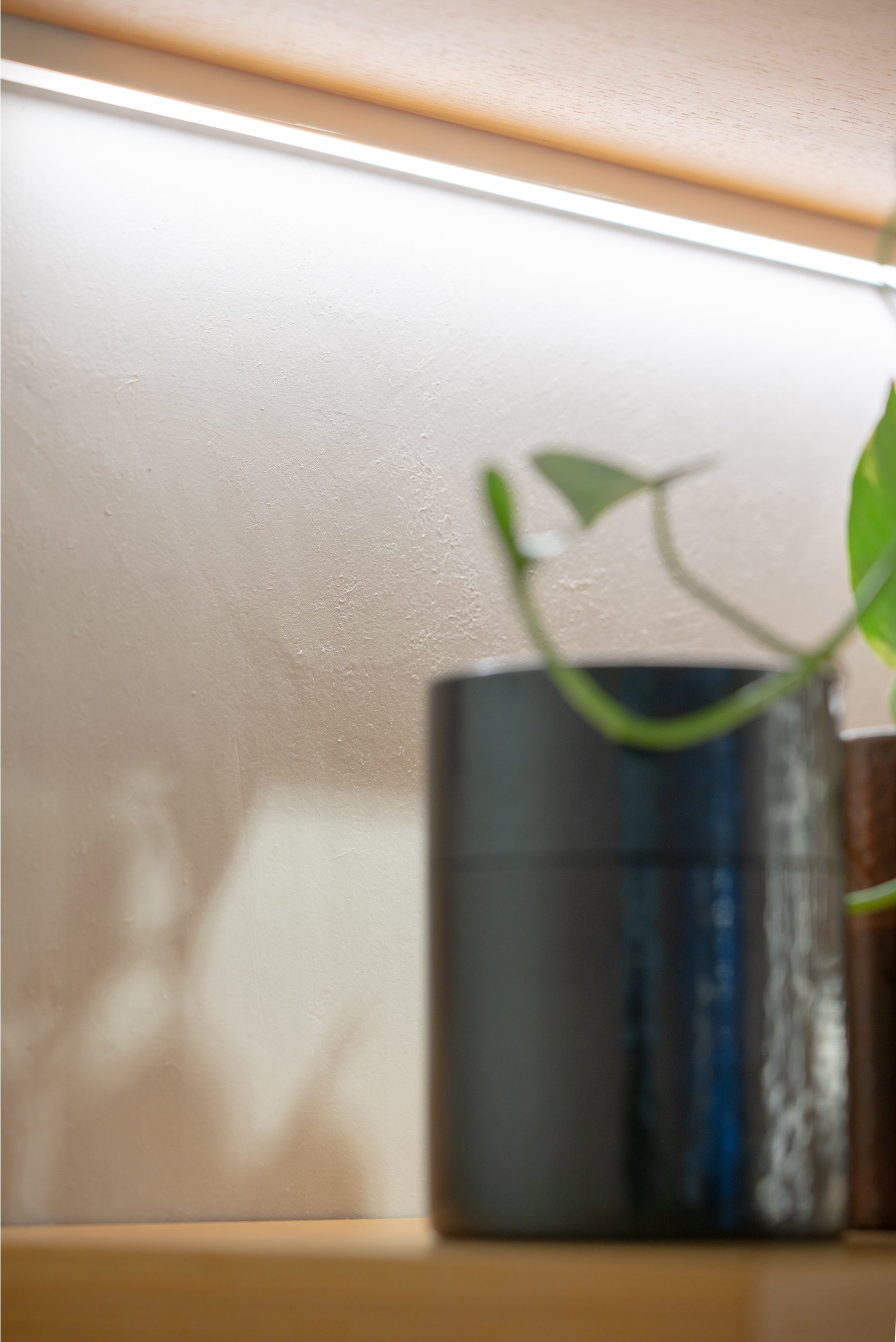 貝殻から作られる「柳川貝灰生しっくい」を採用